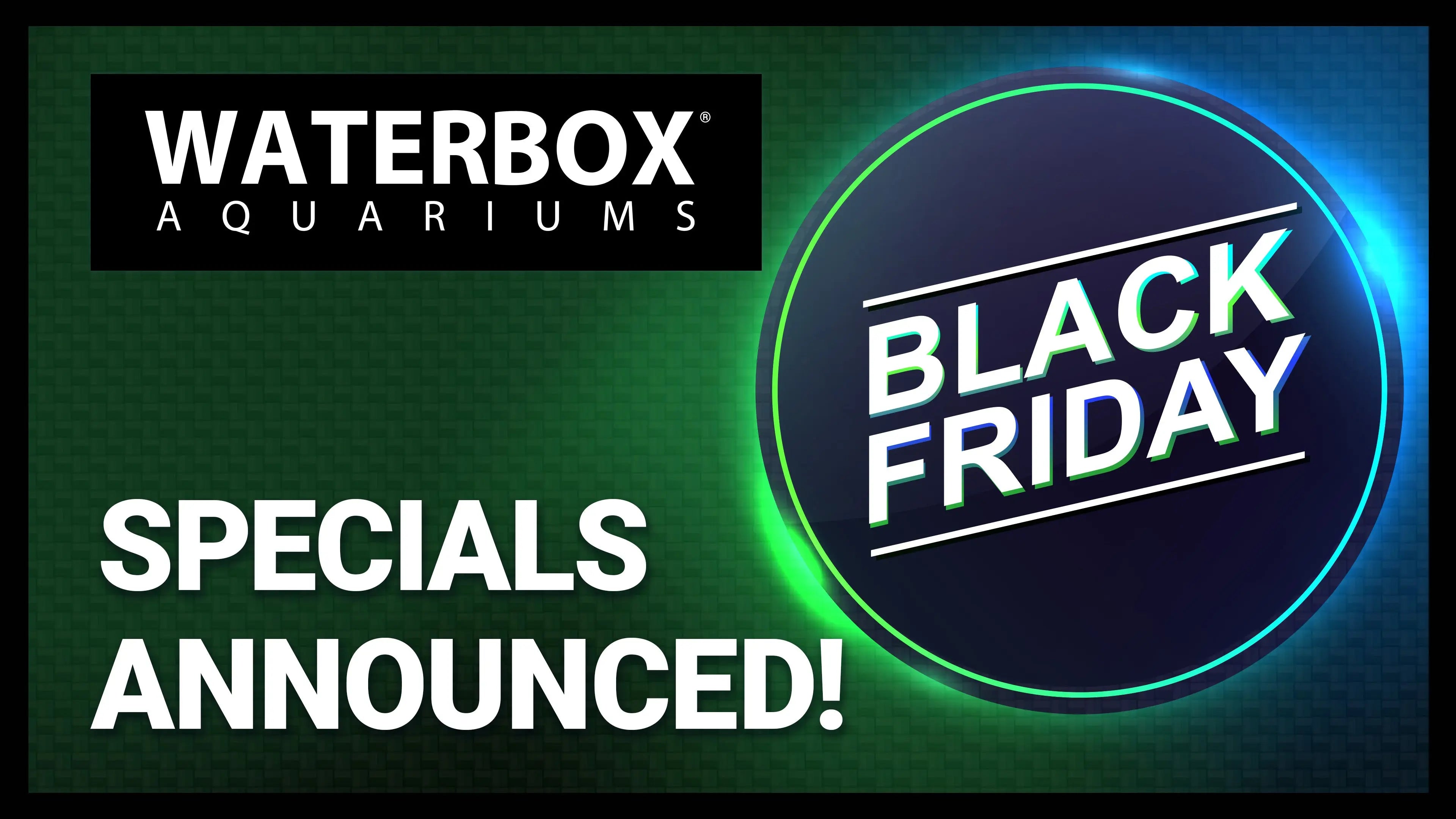 Let's Talk Black Friday! Waterbox Aquariums