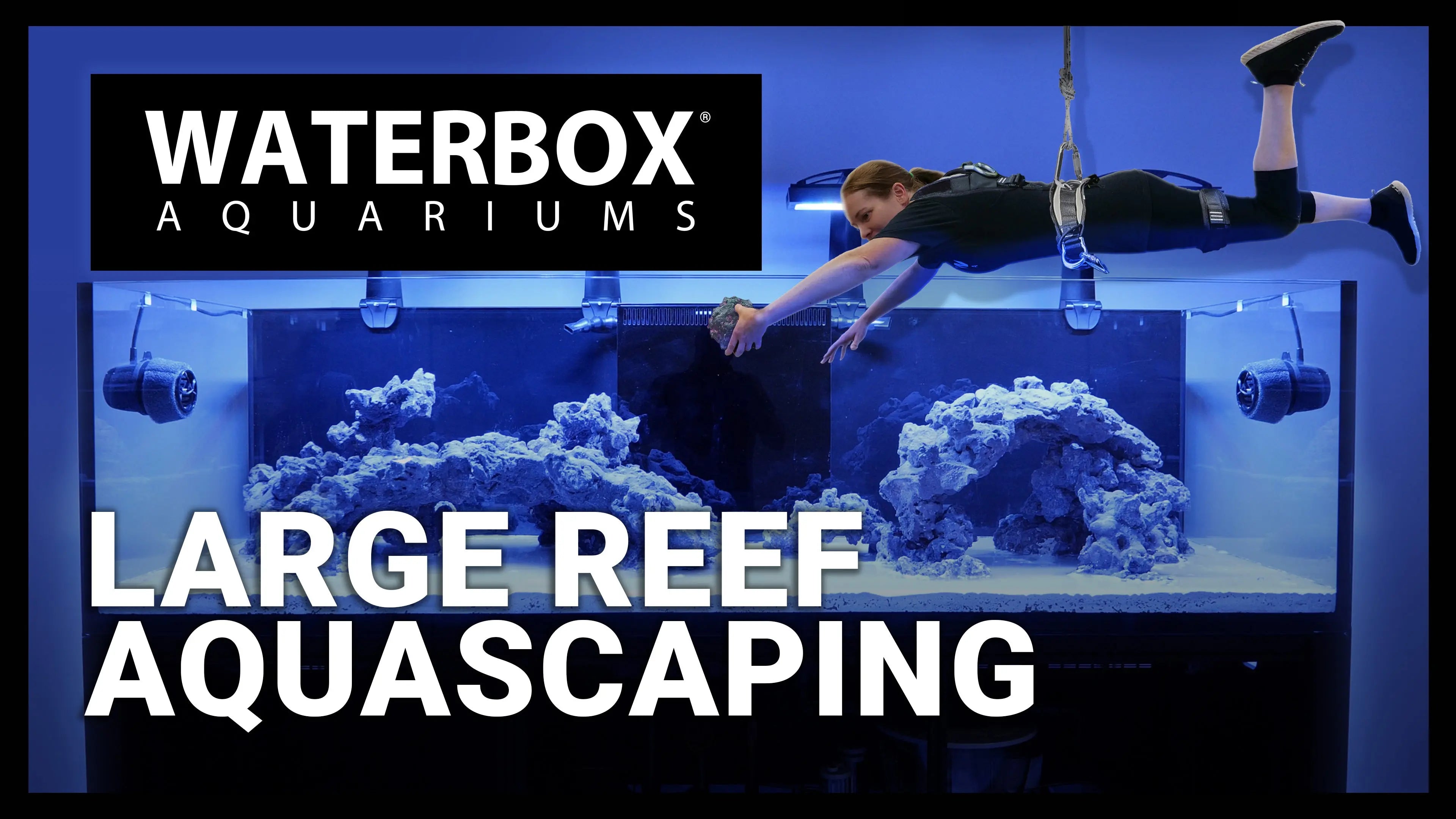Aquascaping a Large Reef Aquarium with Caribsea LifeRock. Waterbox Aquariums
