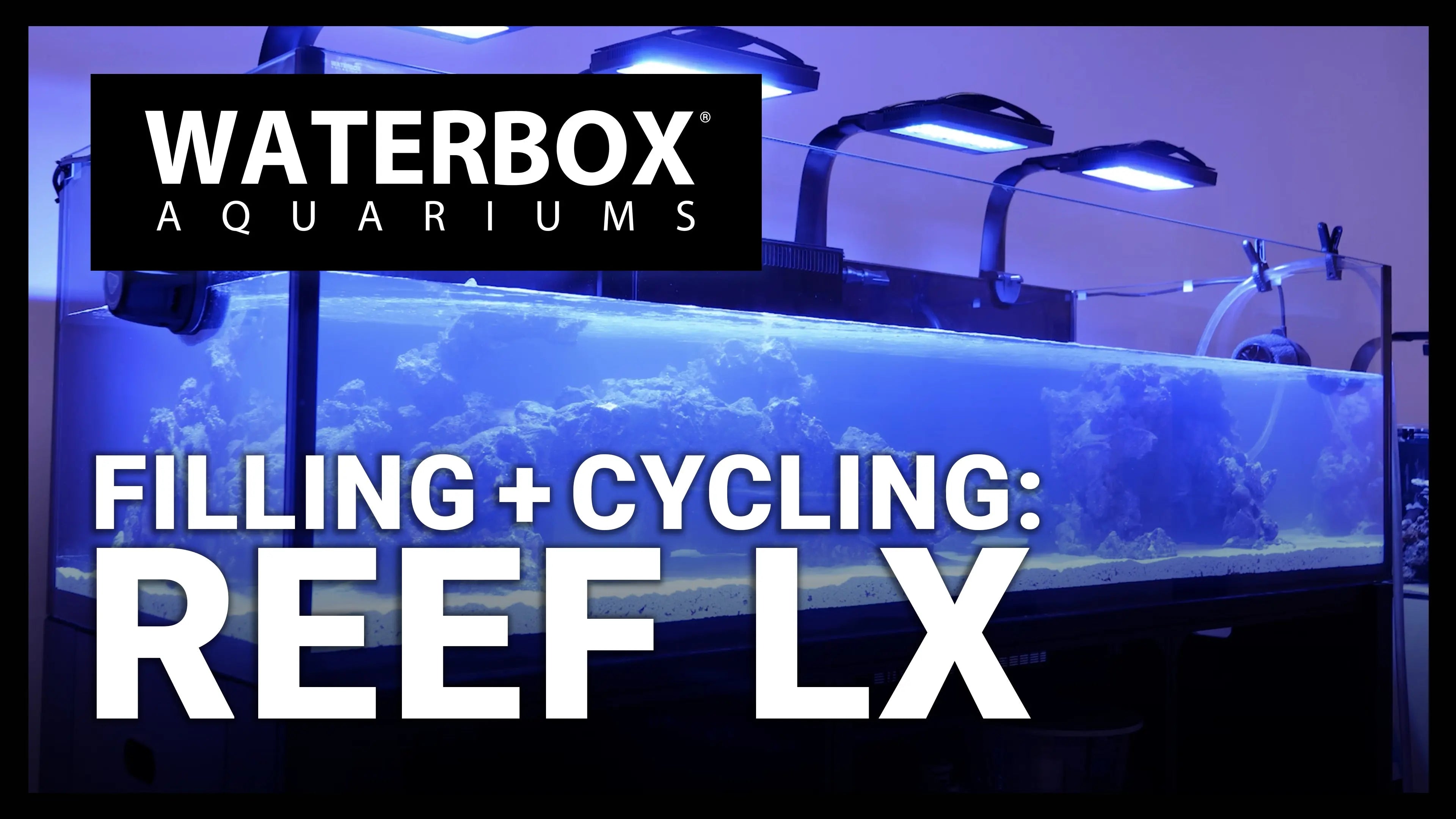 Filling and Cycling the REEF LX Waterbox Aquariums