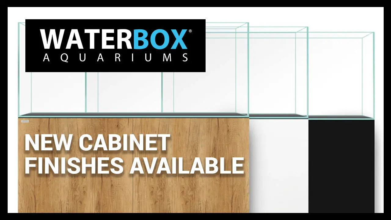 New Cabinet Finishes Available for Cube, Marine AIO, Marine and Clear Aquariums Waterbox Aquariums