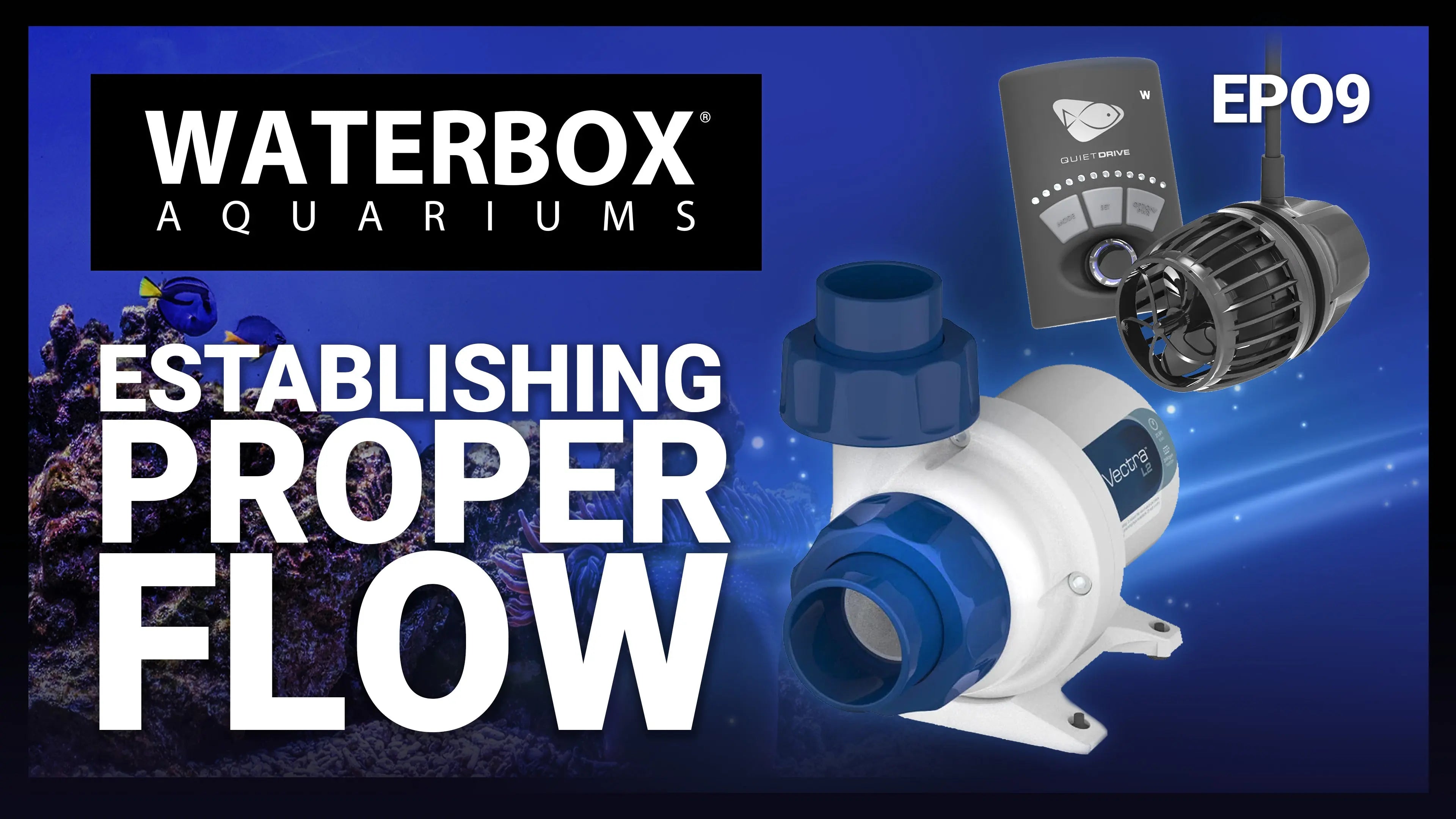 EP09 Establishing Proper Flow | A Guide to Large Reef Aquariums Waterbox Aquariums