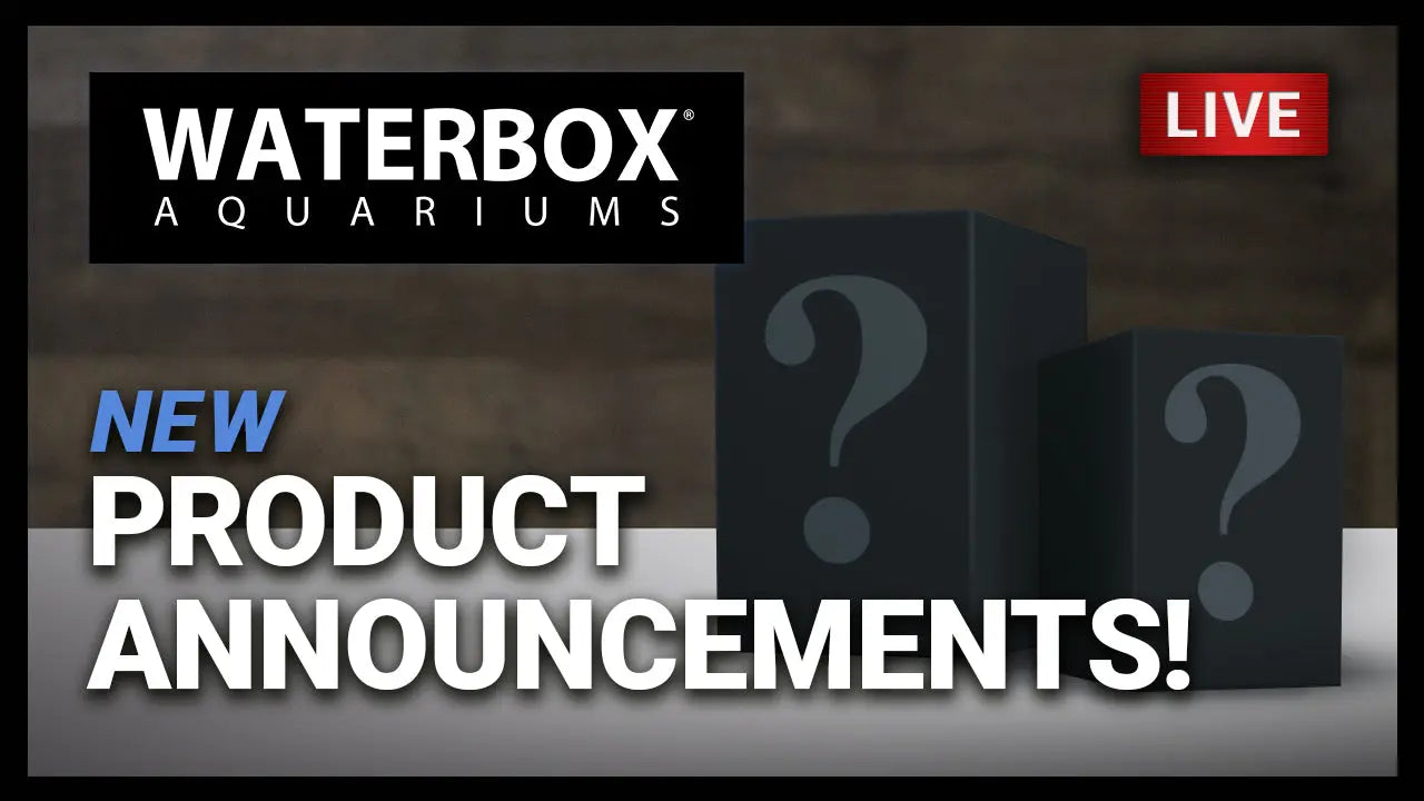 Episode 131: New Products - We got you covered with these attractive new items. Waterbox Aquariums