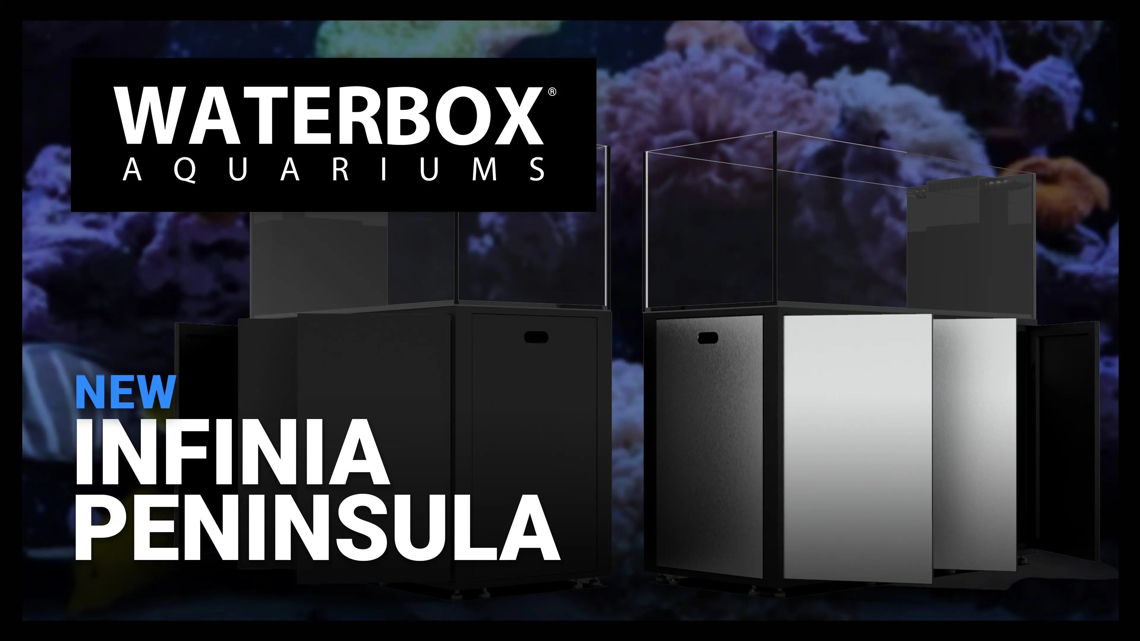 Episode 139: INFINIA PENINSULA - More To Love. Waterbox Aquariums