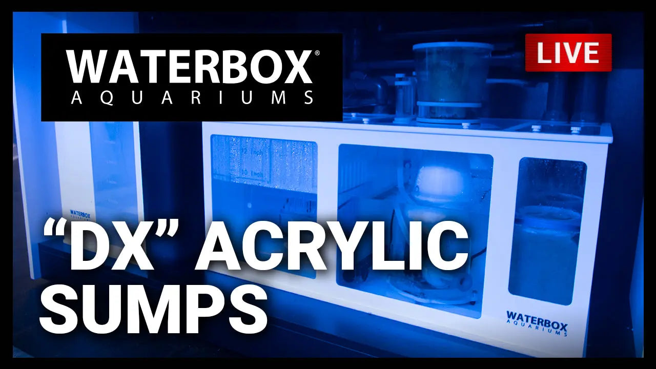 Episode 143 - Waterbox DX Acrylic Sumps Waterbox Aquariums