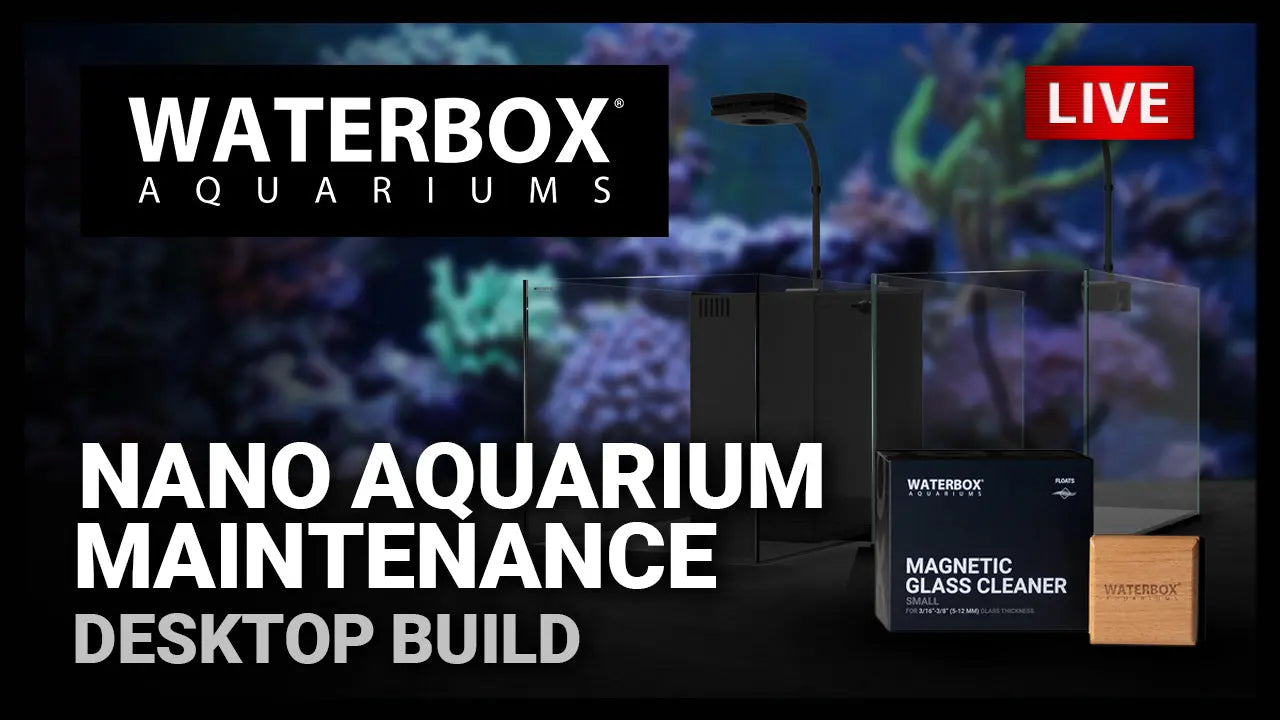 Episode 151: Nano Saltwater and Freshwater Aquarium Maintenance Waterbox Aquariums
