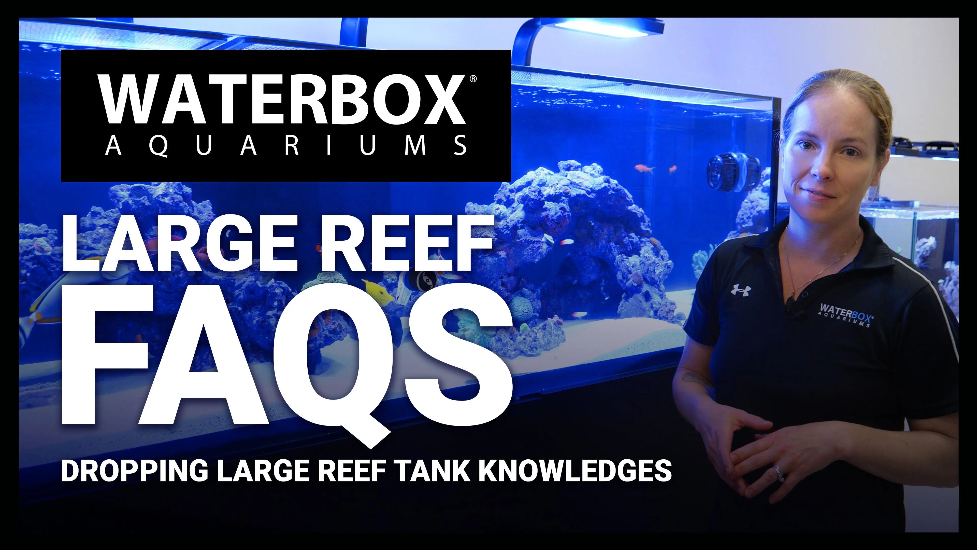 We're Tackling the BIGGEST Questions About Keeping a HUGE Reef Aquarium Waterbox Aquariums