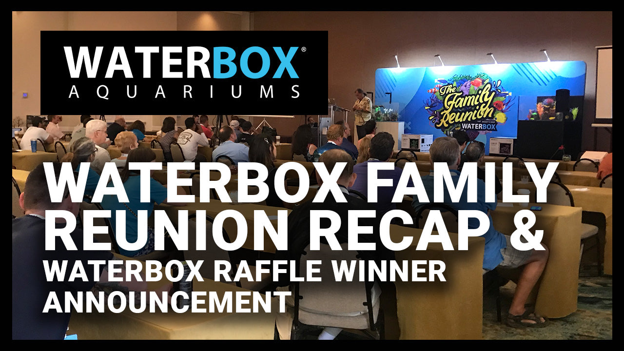 The Family Reunion Raffle Recap and Coral Restoration Foundation Raffle Winner