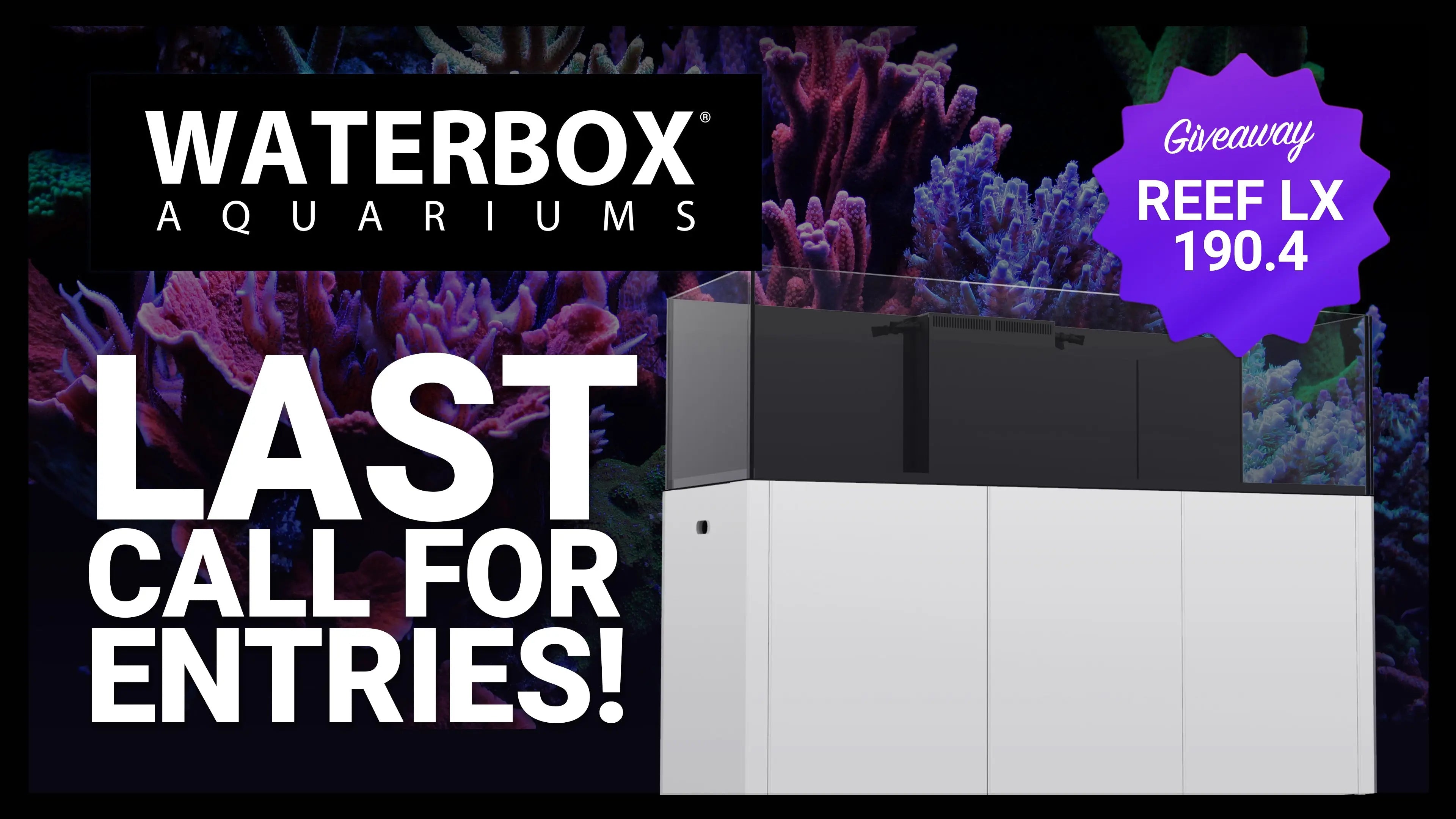 It's Almost Giveaway Time! Checking in on the REEF LX 320.7 + Taking Your Questions LIVE Waterbox Aquariums