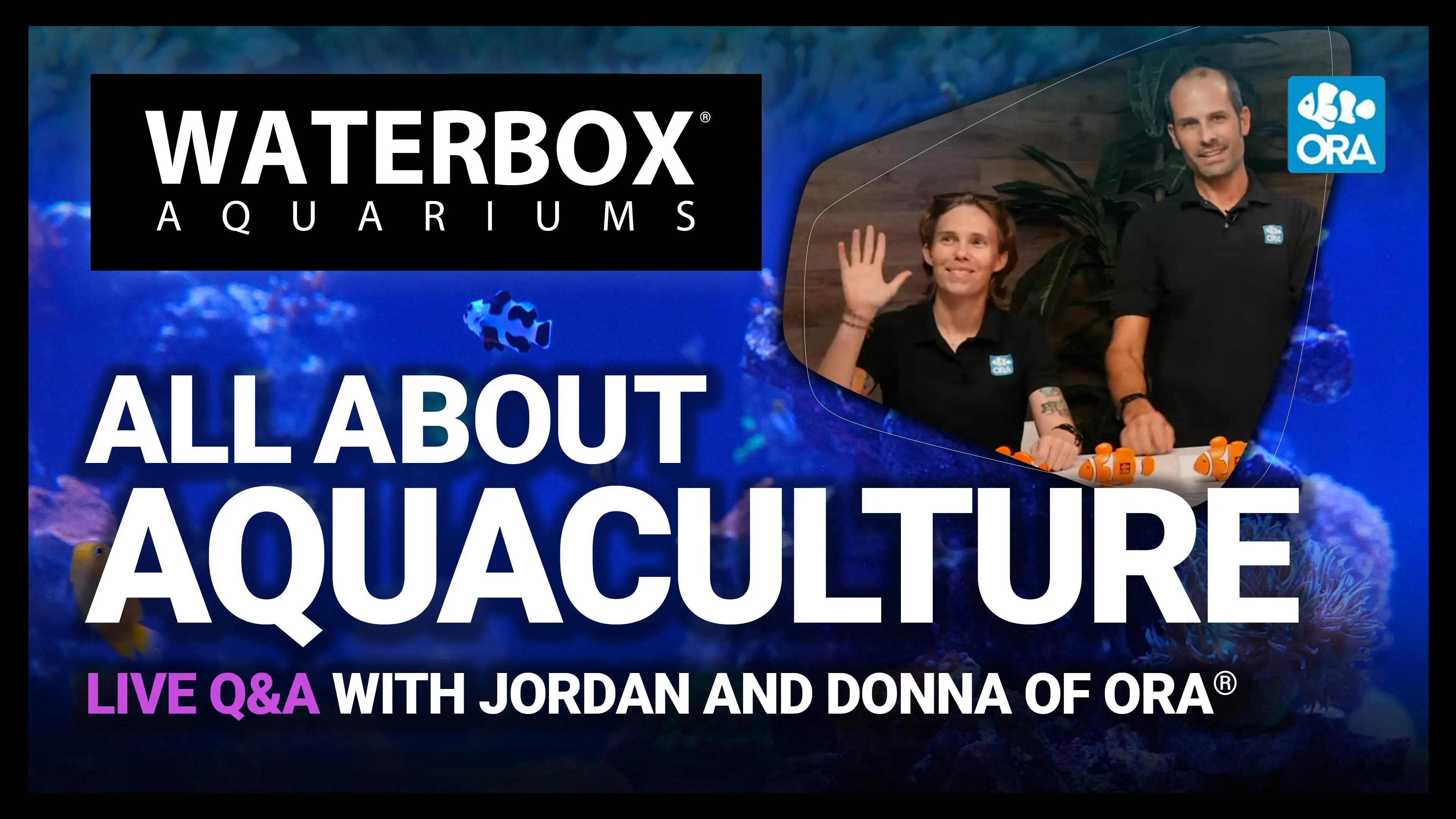 LIVE Q&A with Jordan and Donna of ORA® Aquaculture Facility | A Guide to All In One Aquariums LIVE Waterbox Aquariums