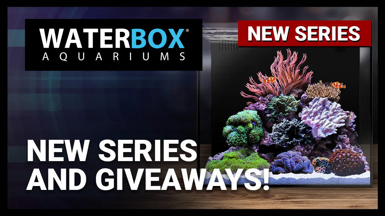 New series announcement and your chance to win some swag. Waterbox Aquariums