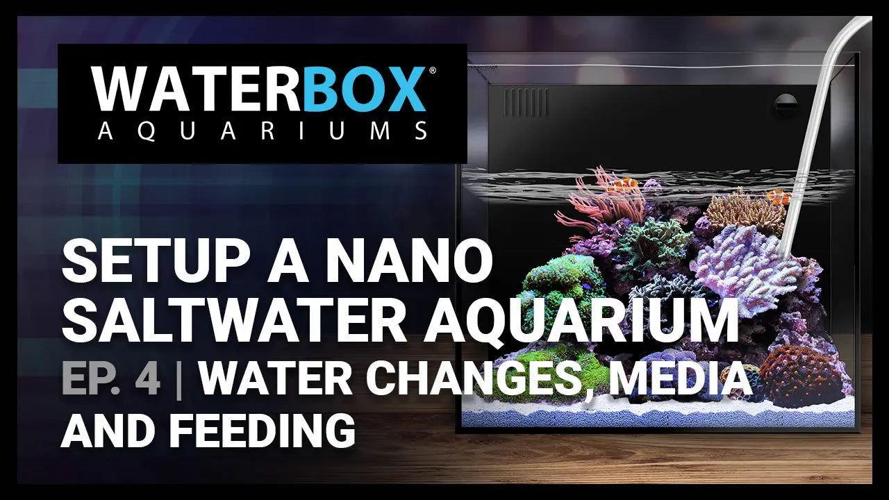 Guide to Setting up a Saltwater Nano Aquarium - #4 - Water changes, Media and Feeding Waterbox Aquariums