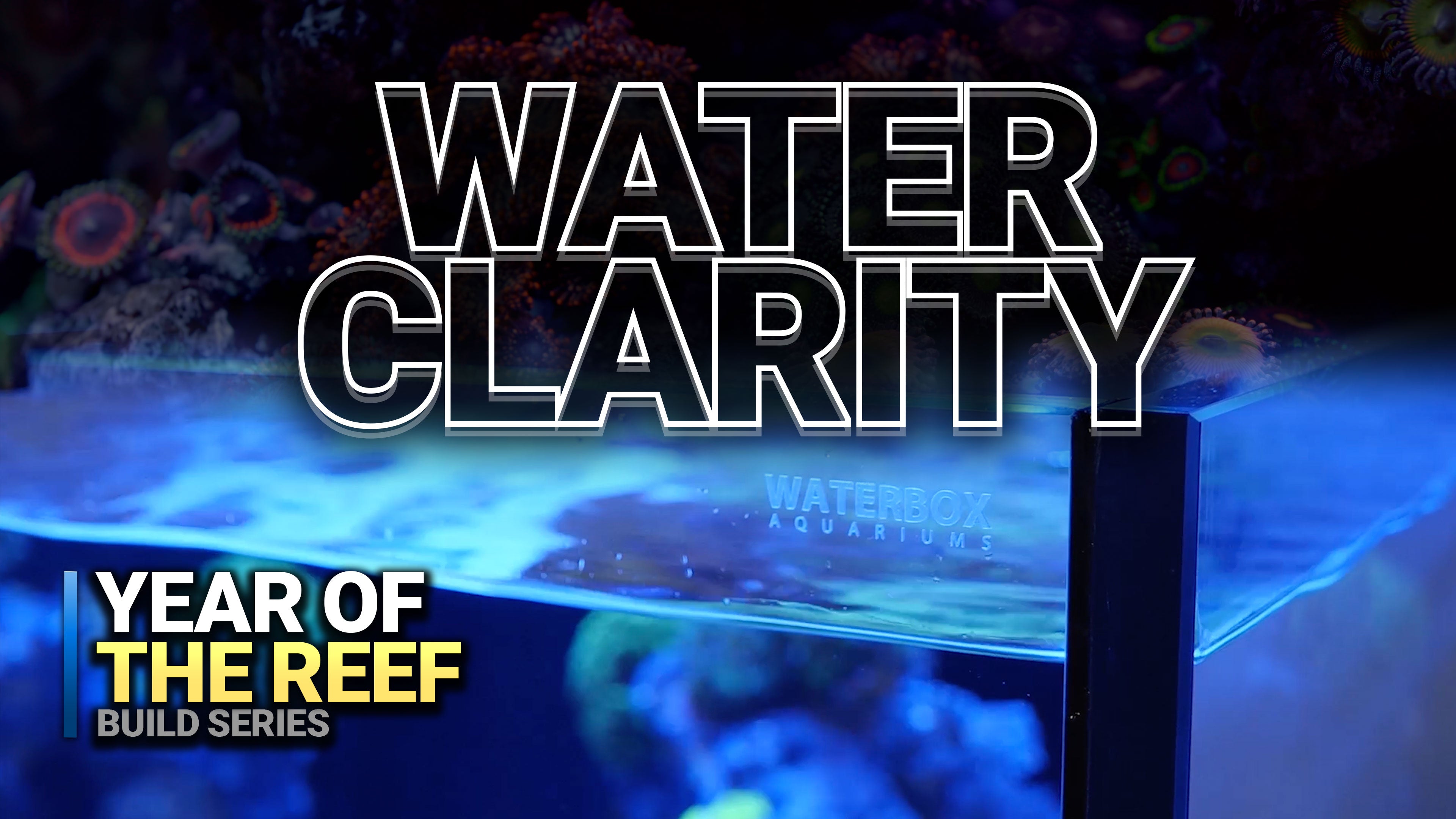 22. Stop Cloudy Water in Your Reef Tank