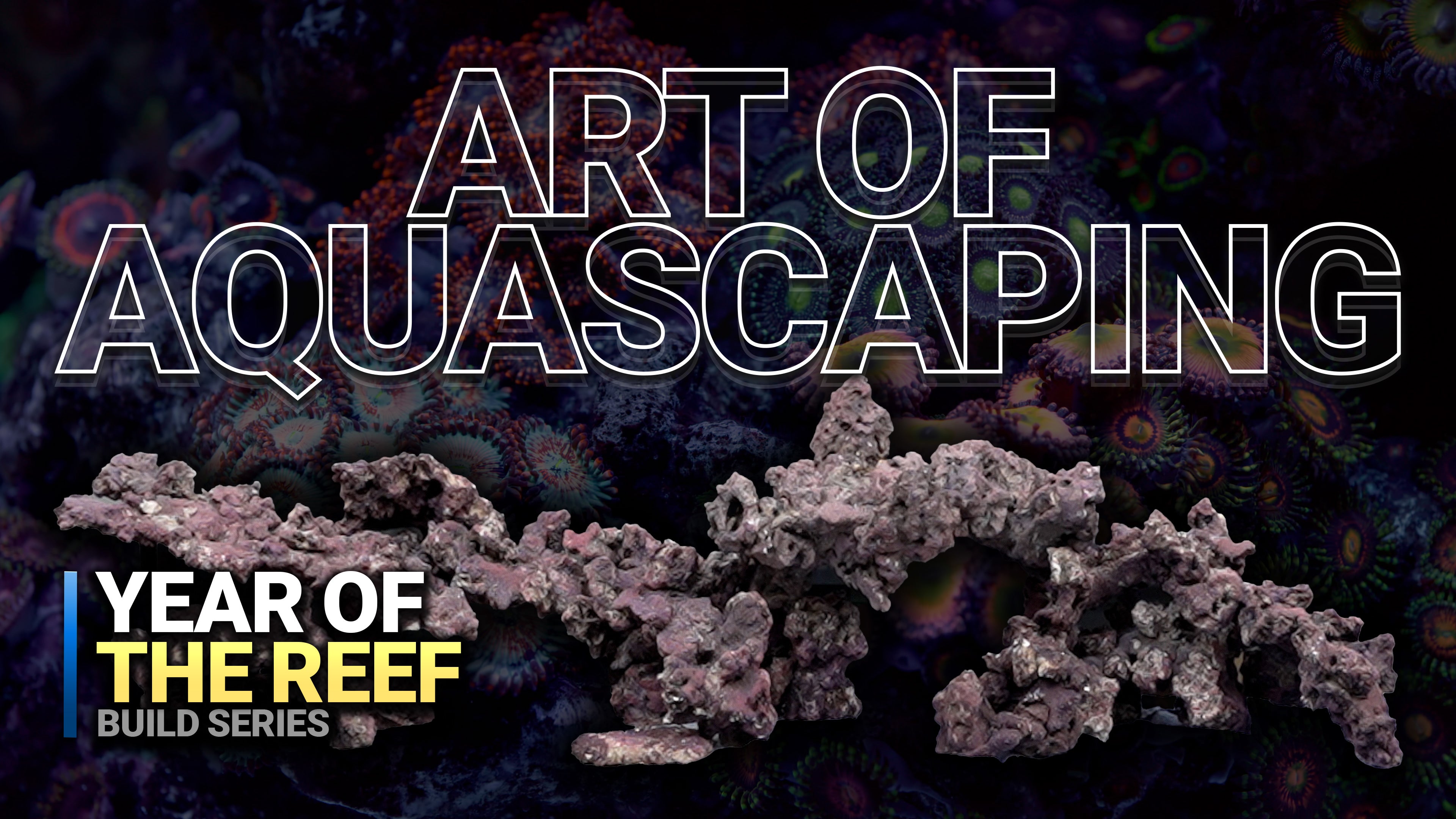 8. Master the Art of Aquascaping!