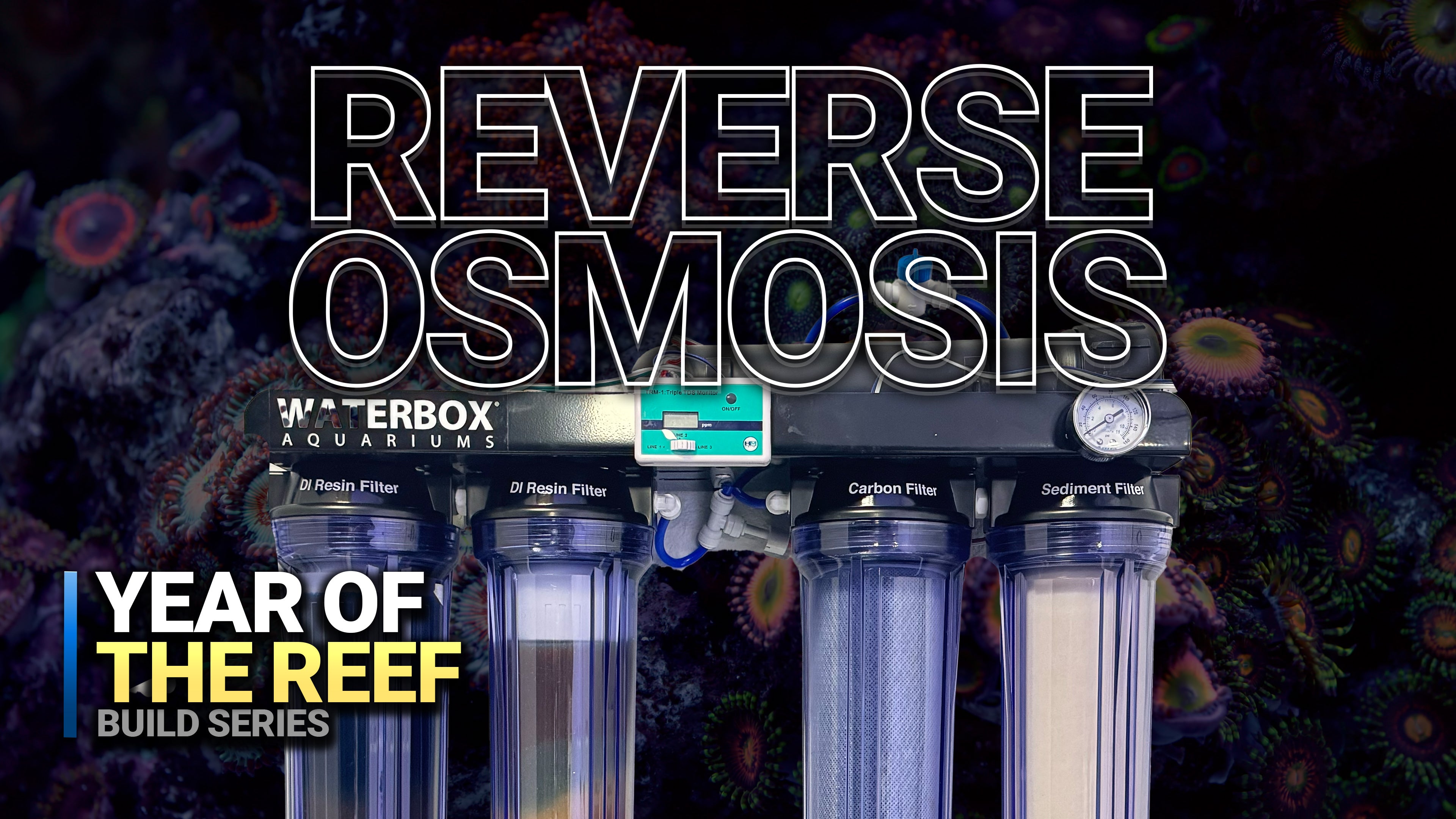 7. Why RO/DI Water is ESSENTIAL for Your Reef Tank