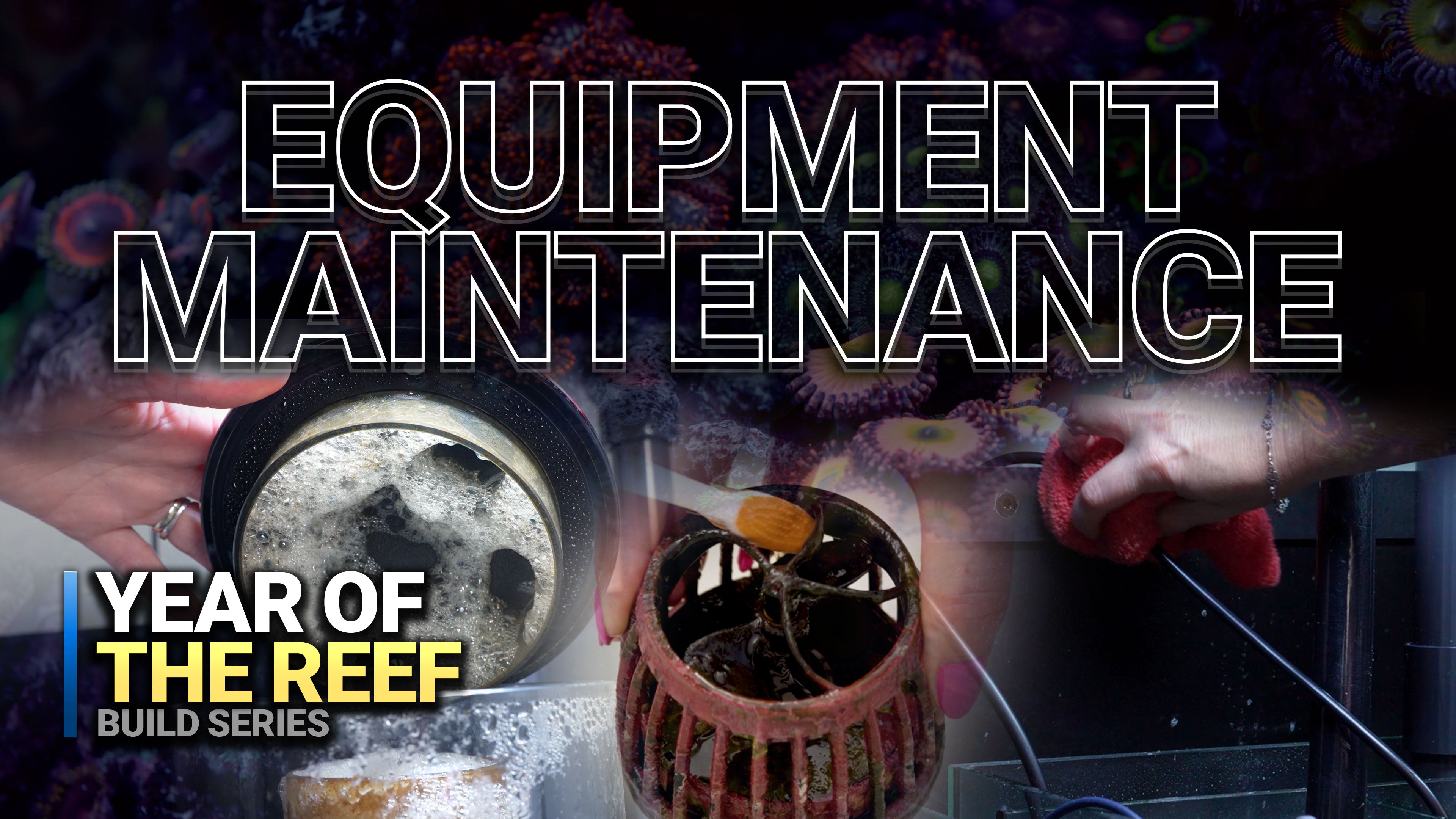 25: Equipment Care That Protects Your Reef