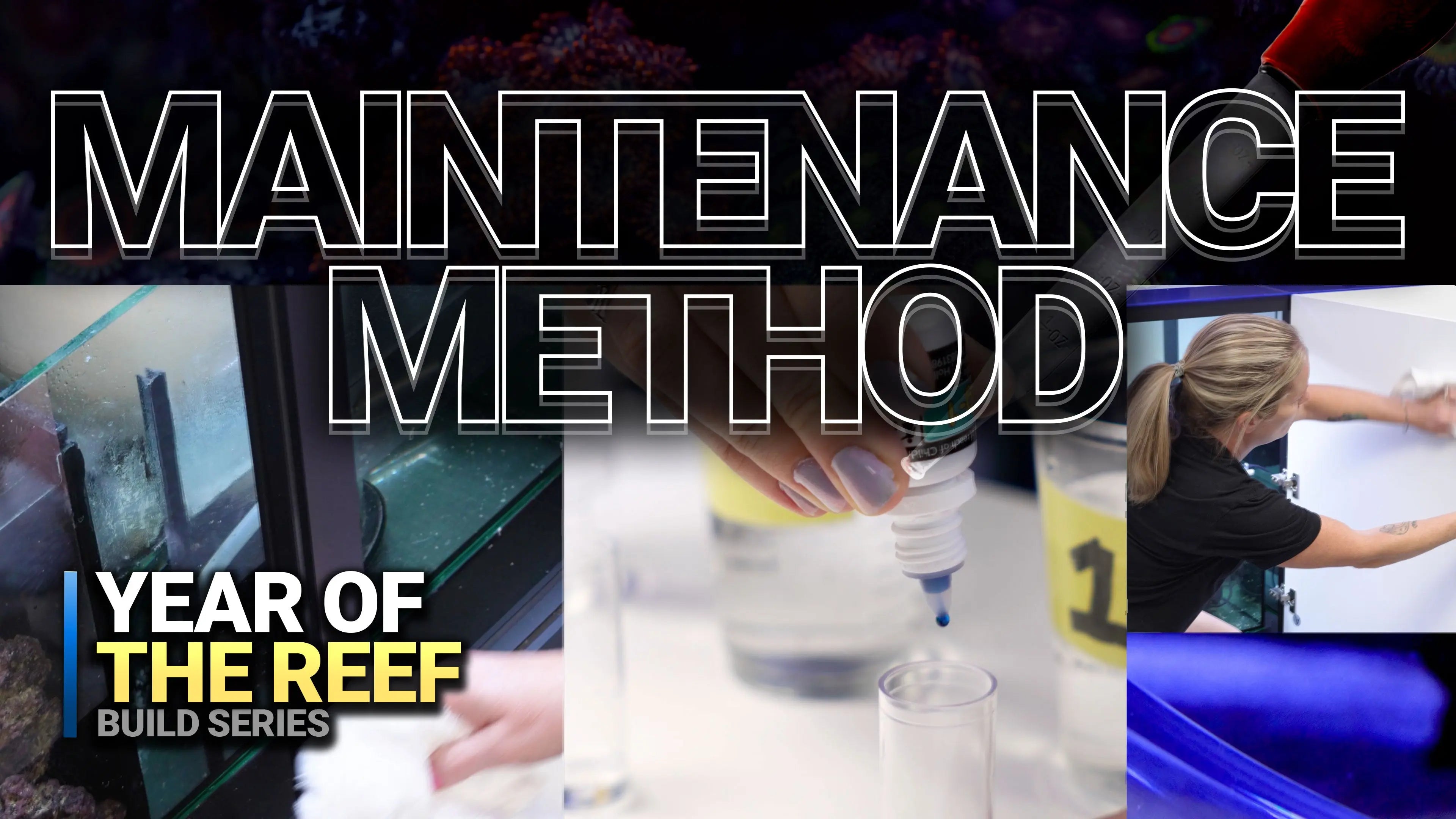 19. Simple Daily, Weekly & Monthly Steps for a Thriving Reef Waterbox Aquariums