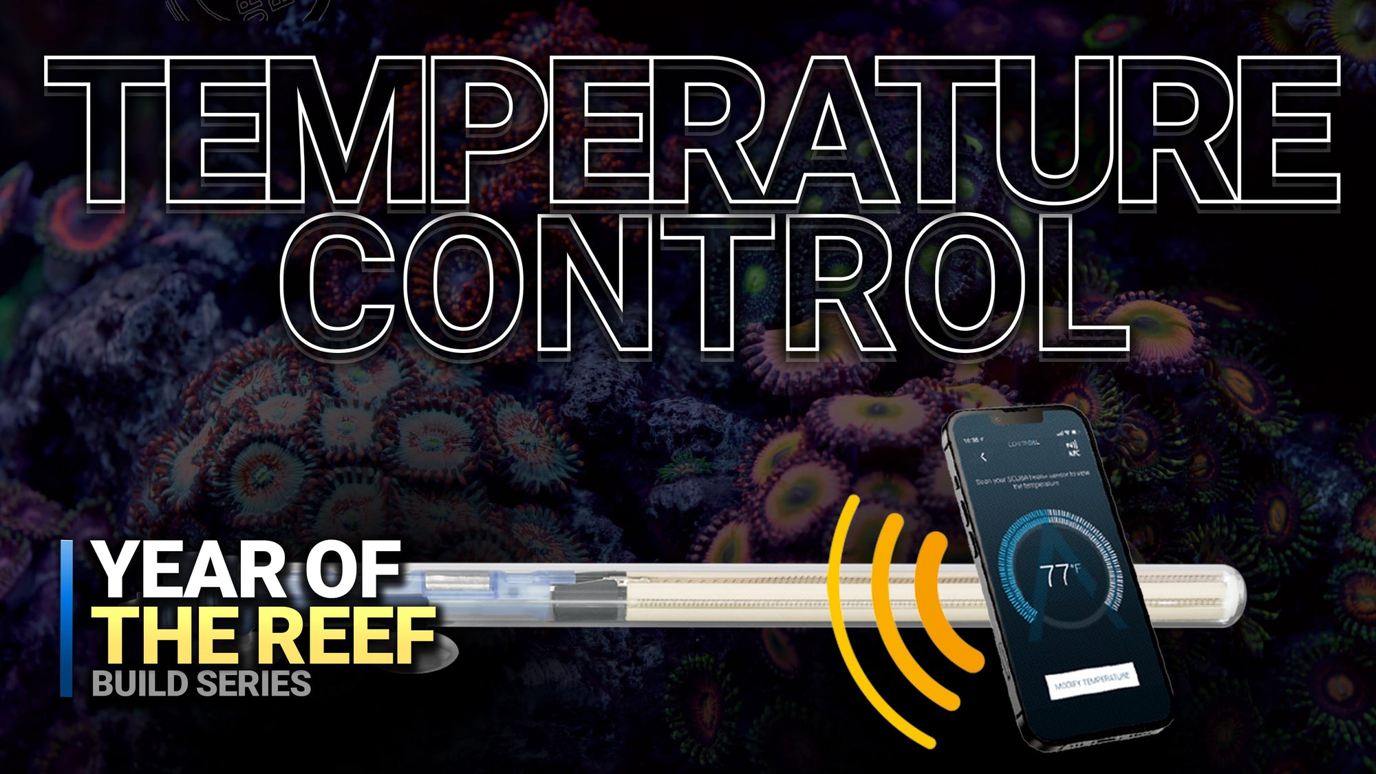 5. Keep Your Reef Stable: ATO & Temperature Tips!