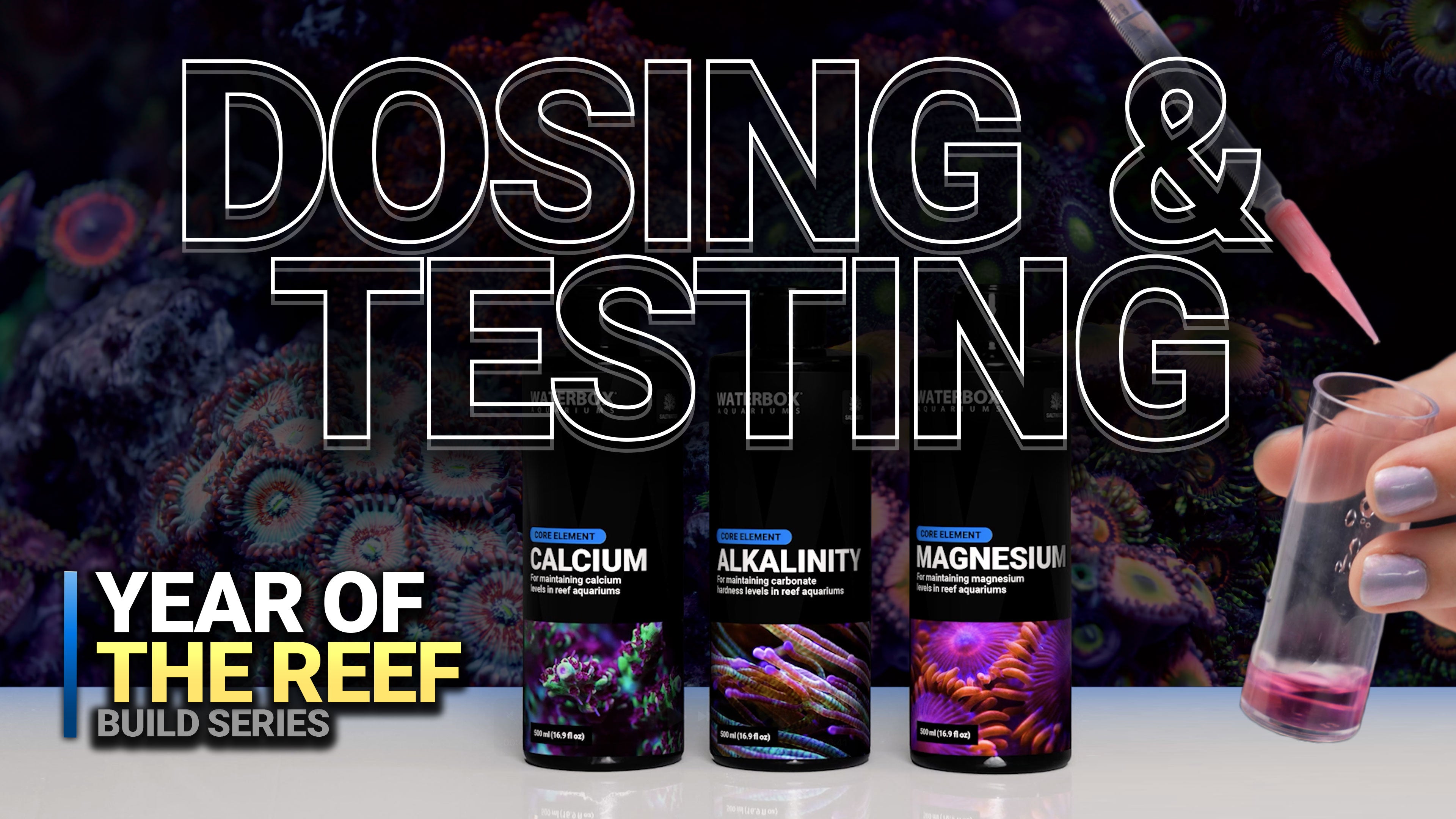 16. Dosing and Testing