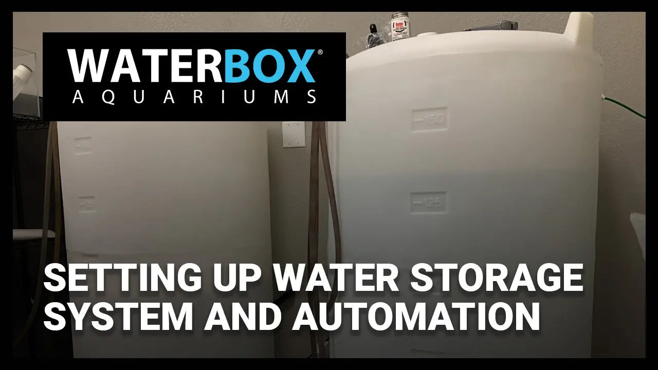 Water Storage System and Automation Waterbox Aquariums