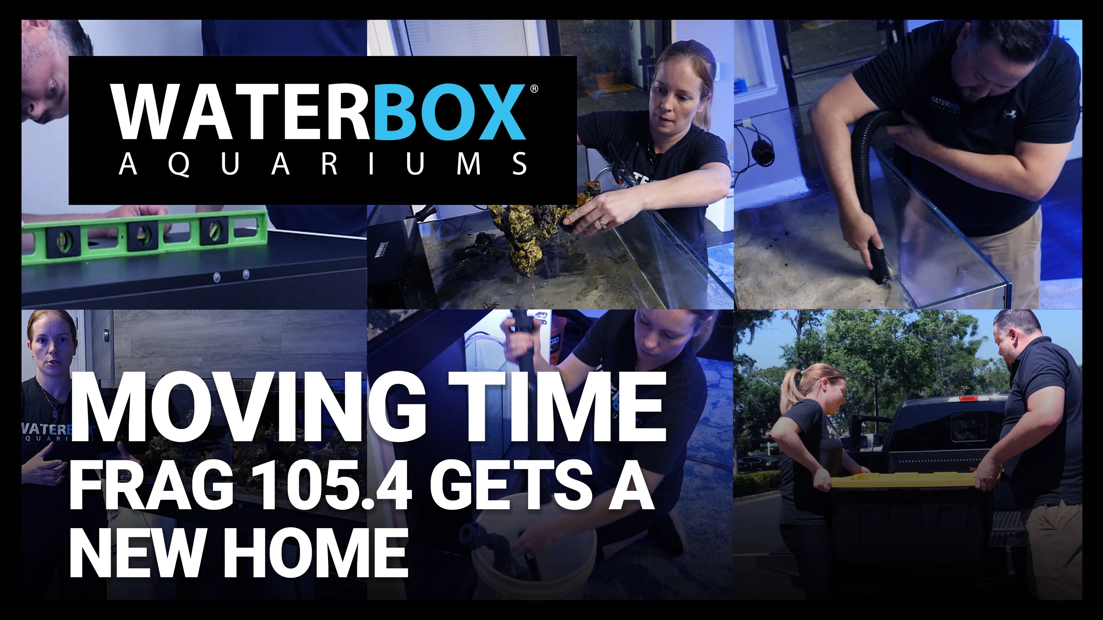 Moving Time | FRAG 105.4 gets a new home. Waterbox Aquariums