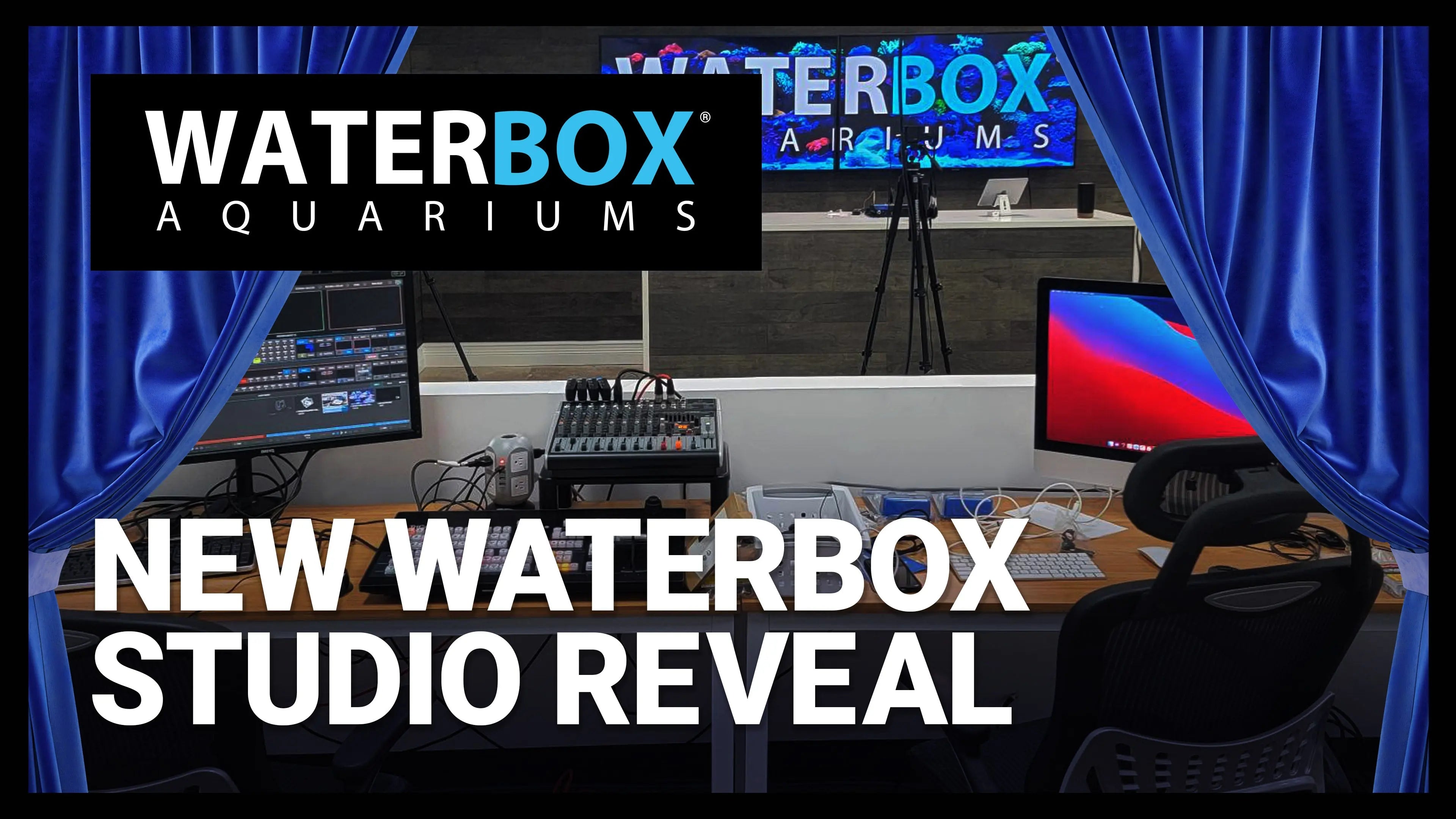 NEW Waterbox Studio Reveal Waterbox Aquariums
