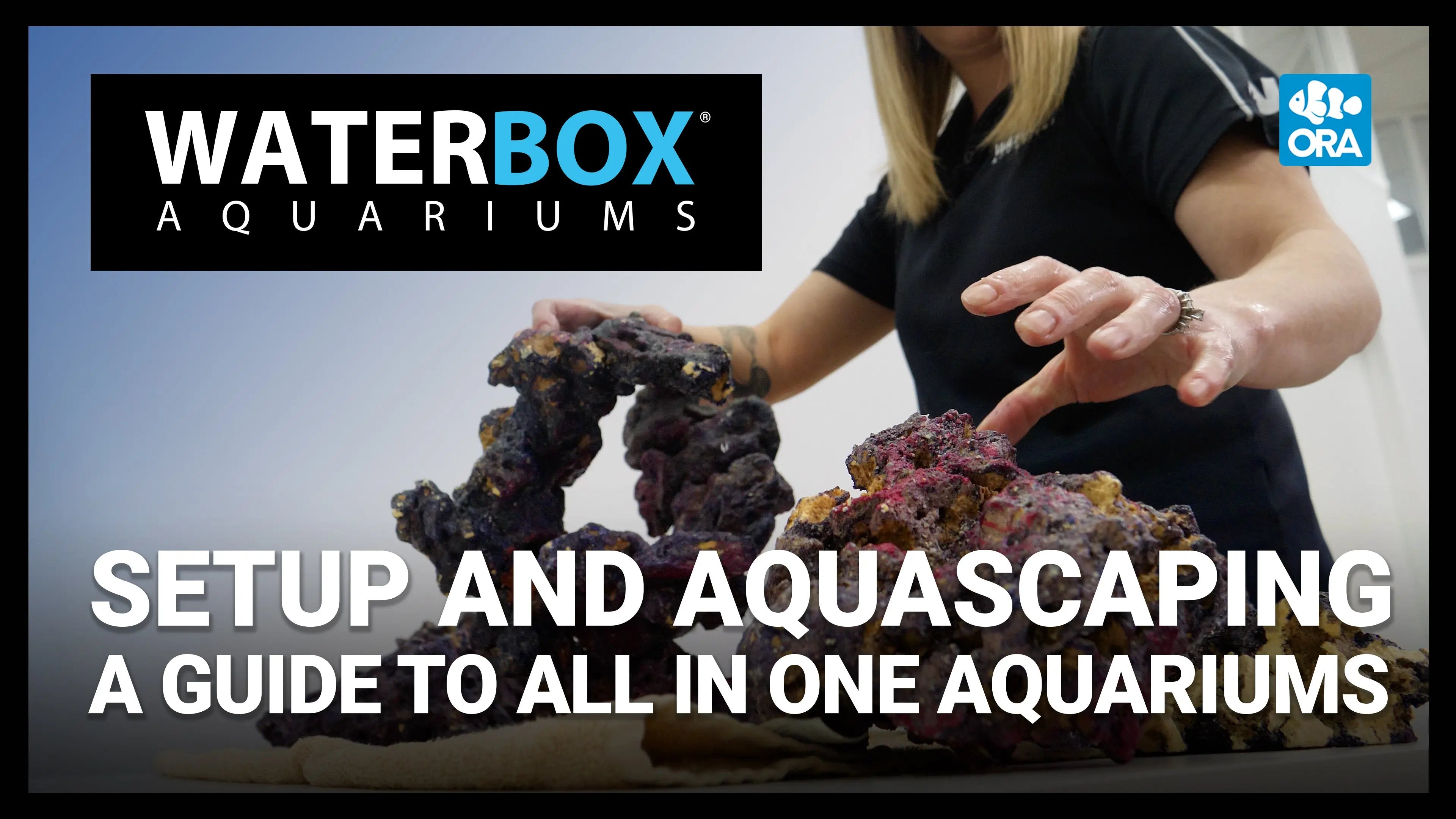 Setup and Aquascaping | A Guide to All In One Aquariums Waterbox Aquariums
