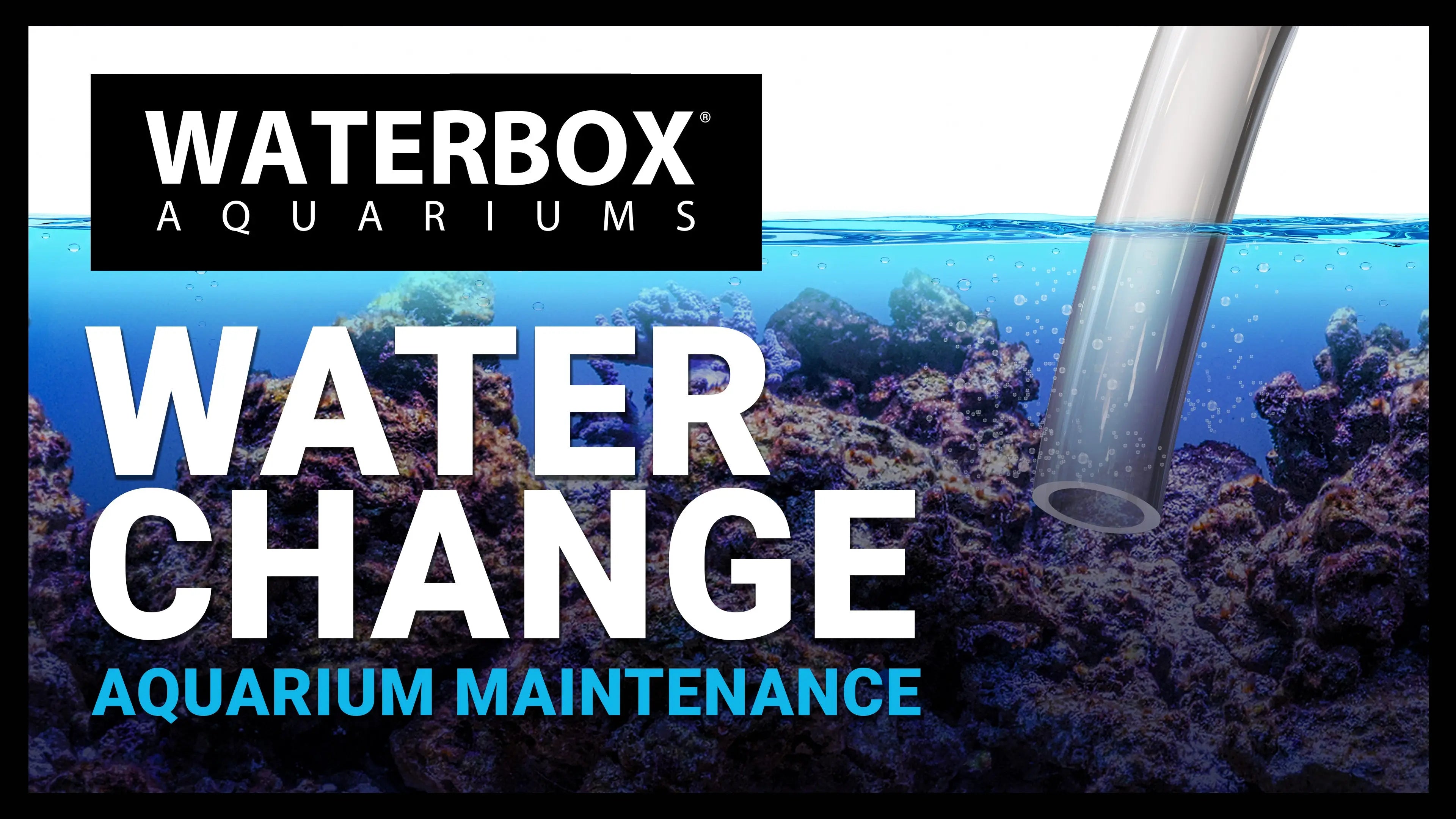 EP06 Substrate, Rock Selection and Aquascaping | A Guide to Large Reef Aquariums Waterbox Aquariums