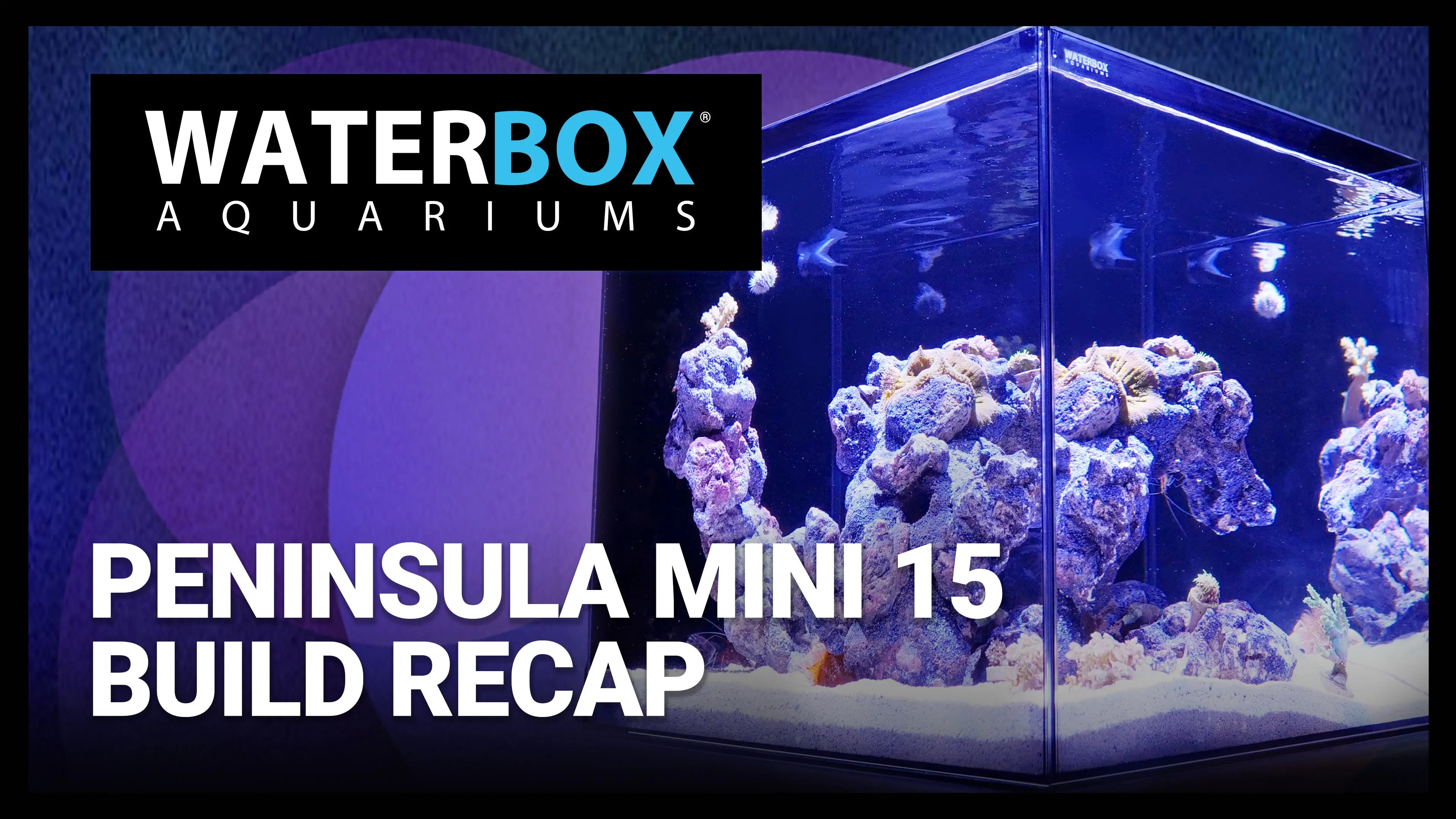 15 Gallon Nano Aquarium Build Recap Waterbox Aquariums