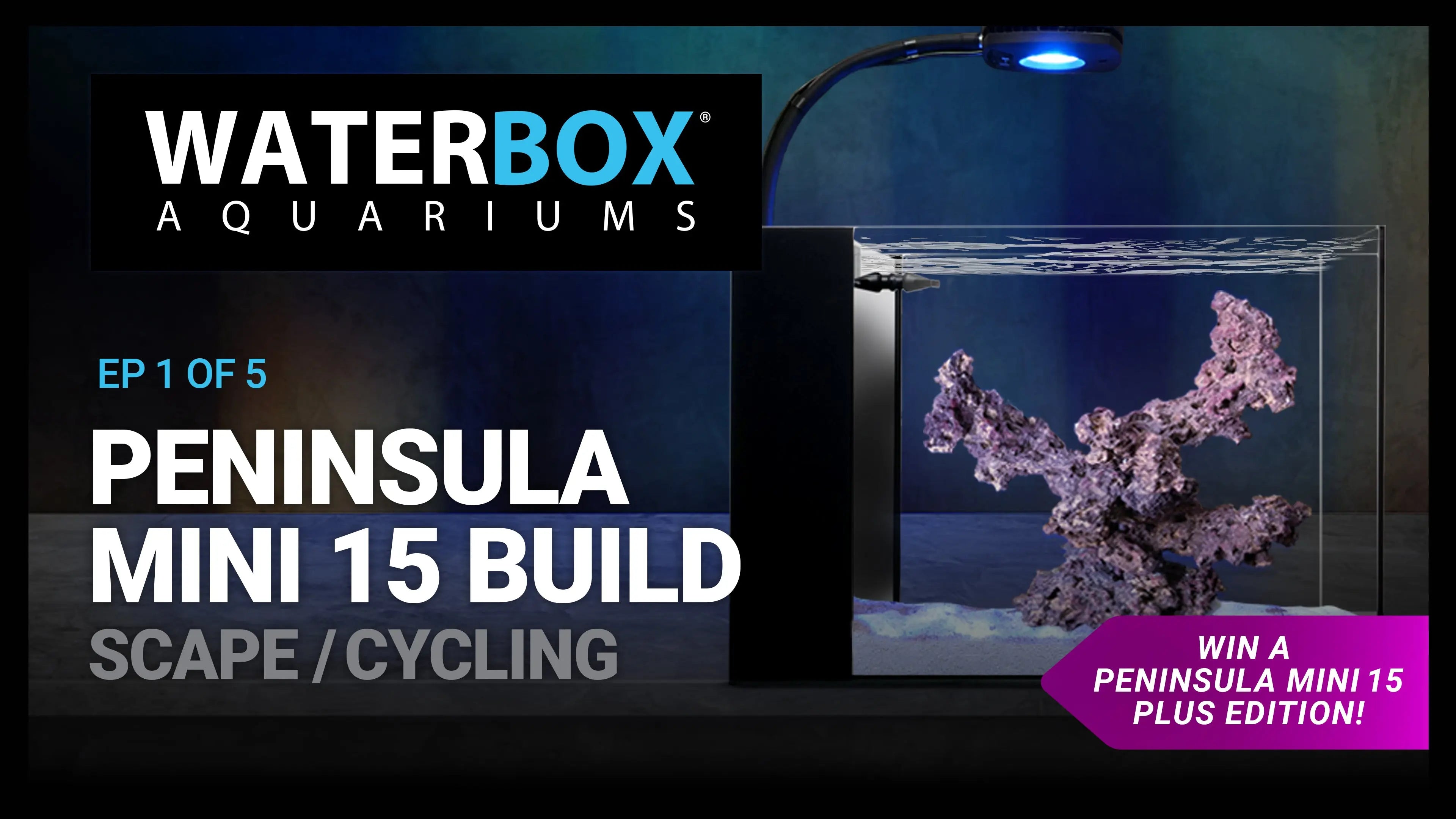 15 Gallon Nano Aquarium Build - Scaping and Cycling Waterbox Aquariums