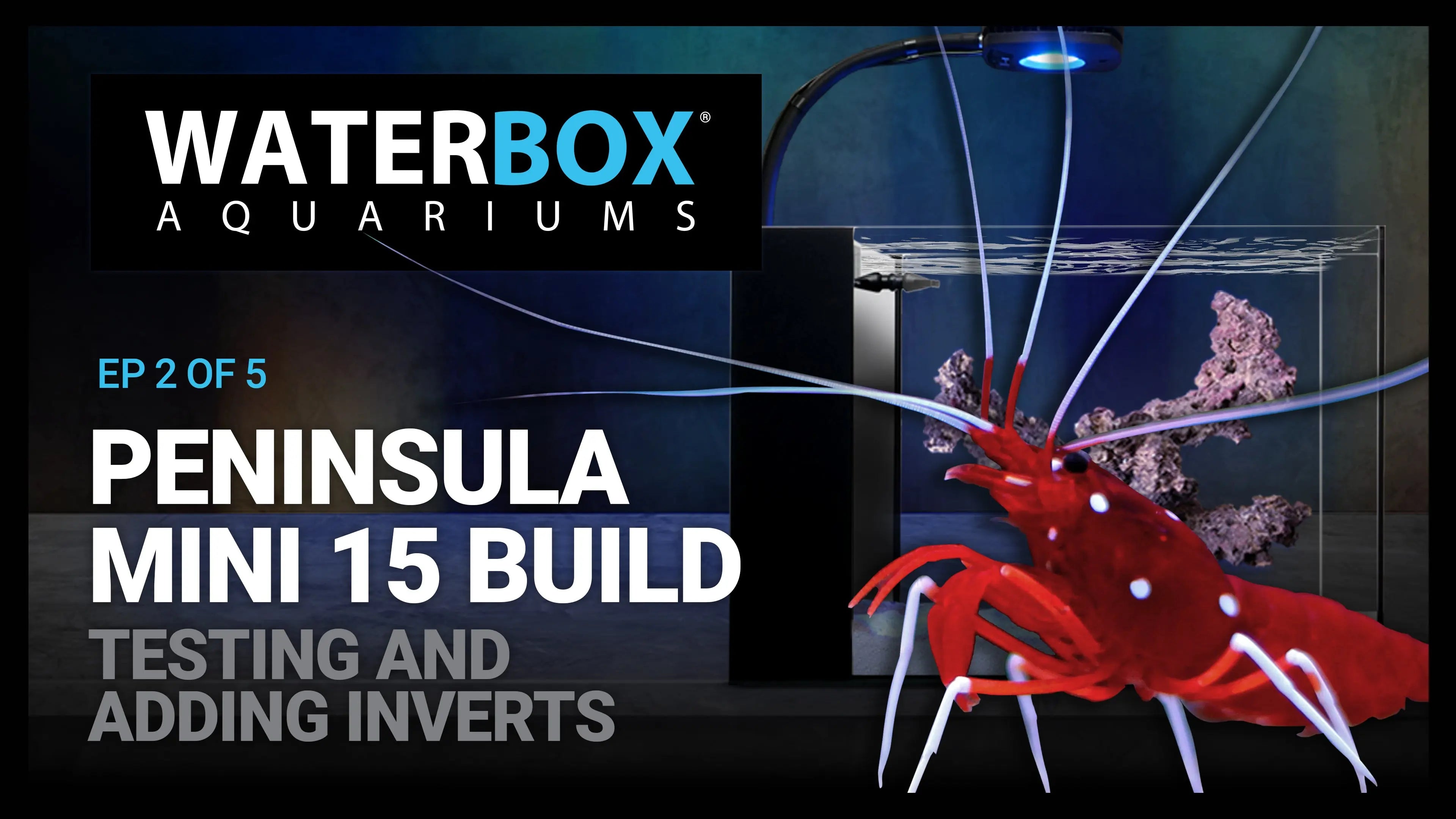 15 Gallon Invert Only Nano Aquarium Build | PENINSULA MINI 15 #2 Waterbox Aquariums