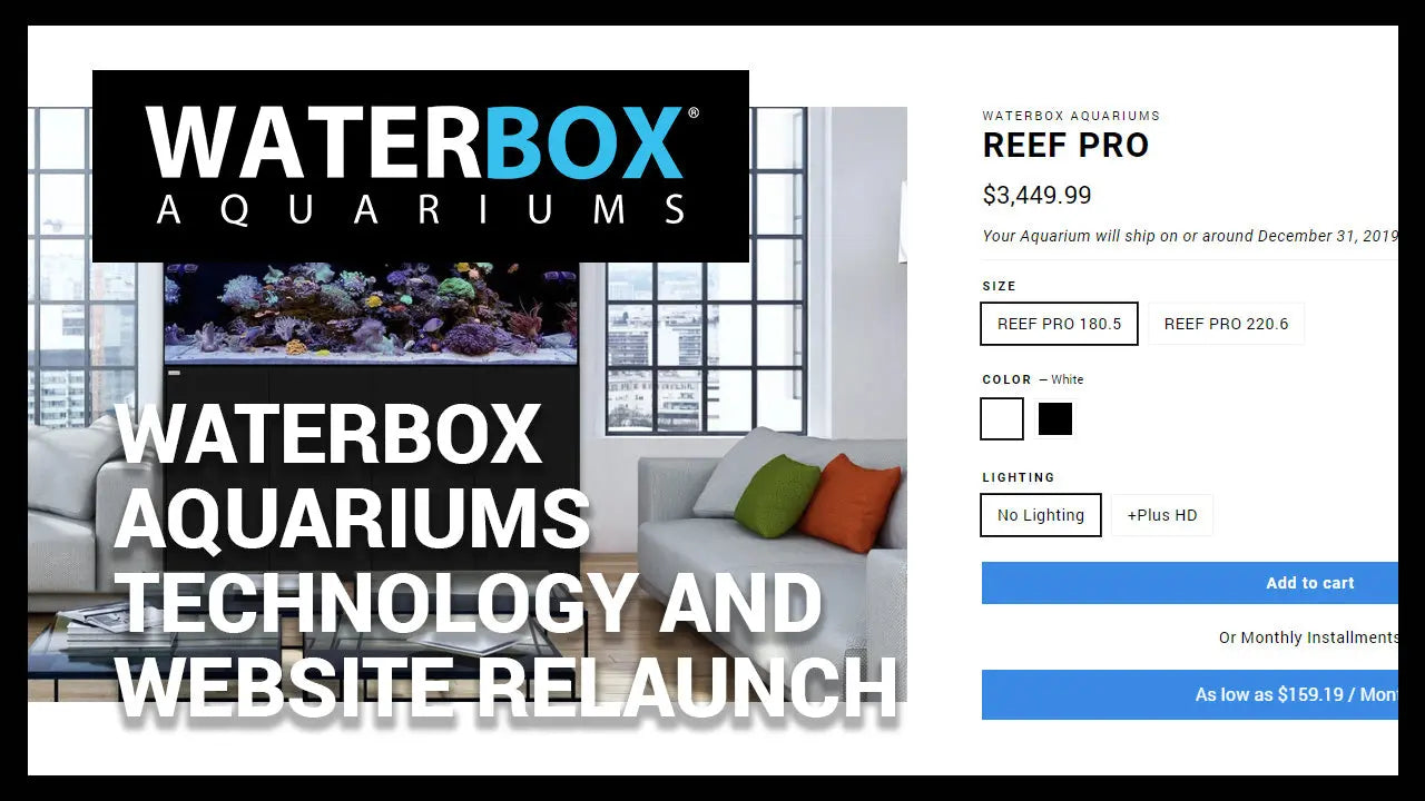 Waterbox Aquariums Technology and Website Relaunch Waterbox Aquariums