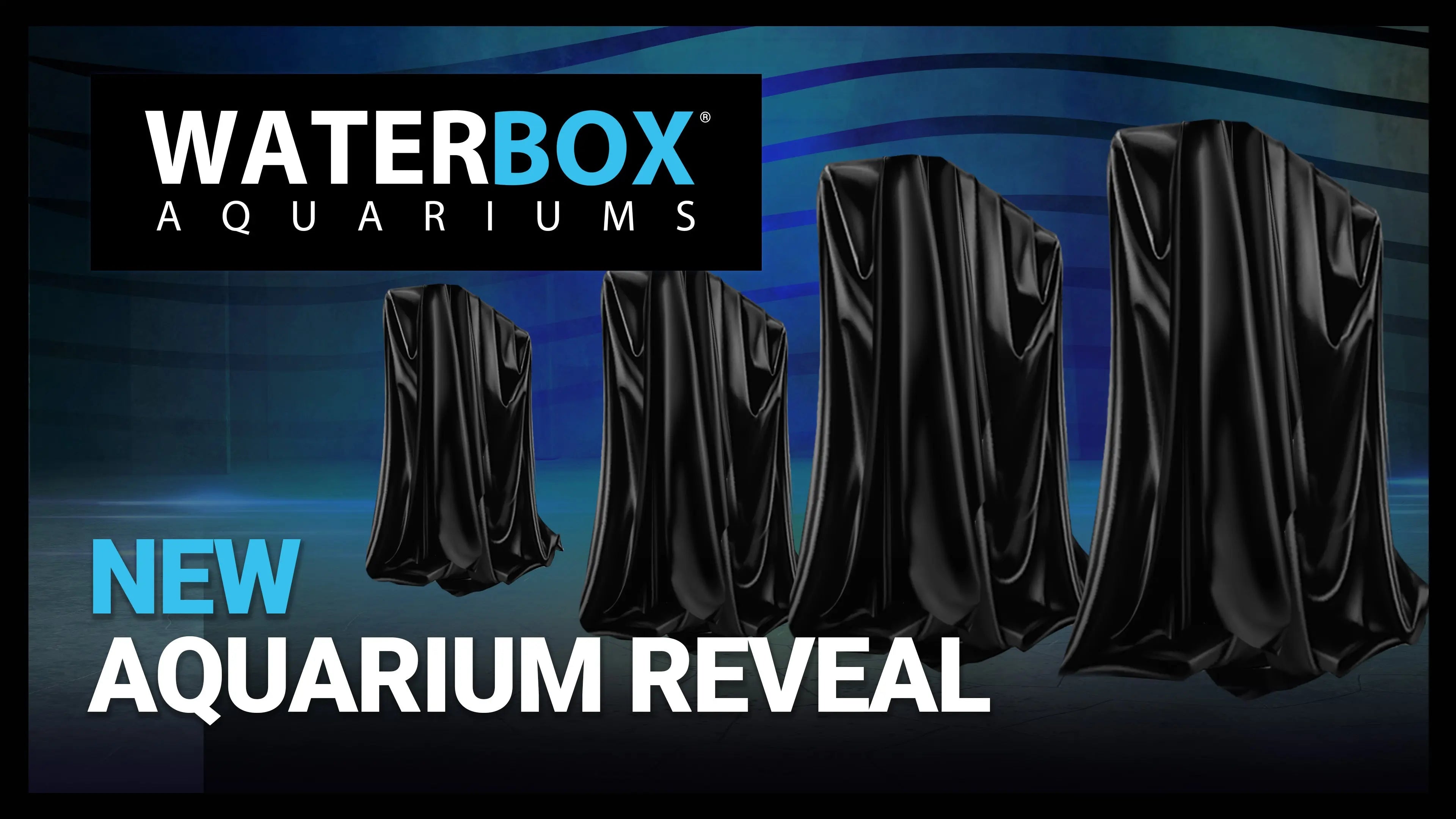 New Aquarium Reveal! Waterbox Aquariums