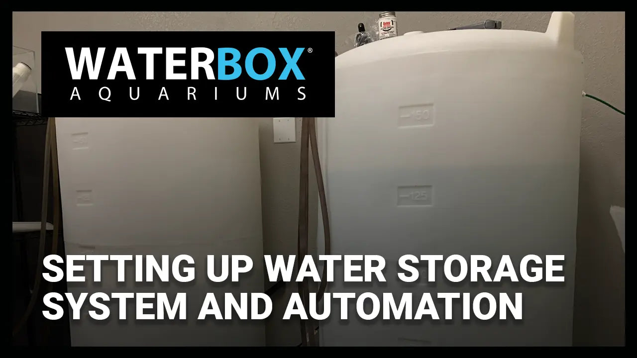 Setting up Water Storage System and Automation Waterbox Aquariums
