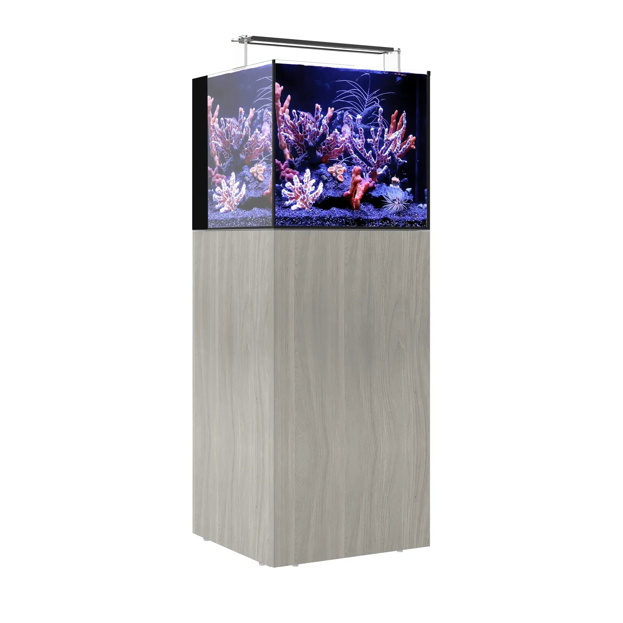 AIO 20 CUBE Waterbox Aquariums