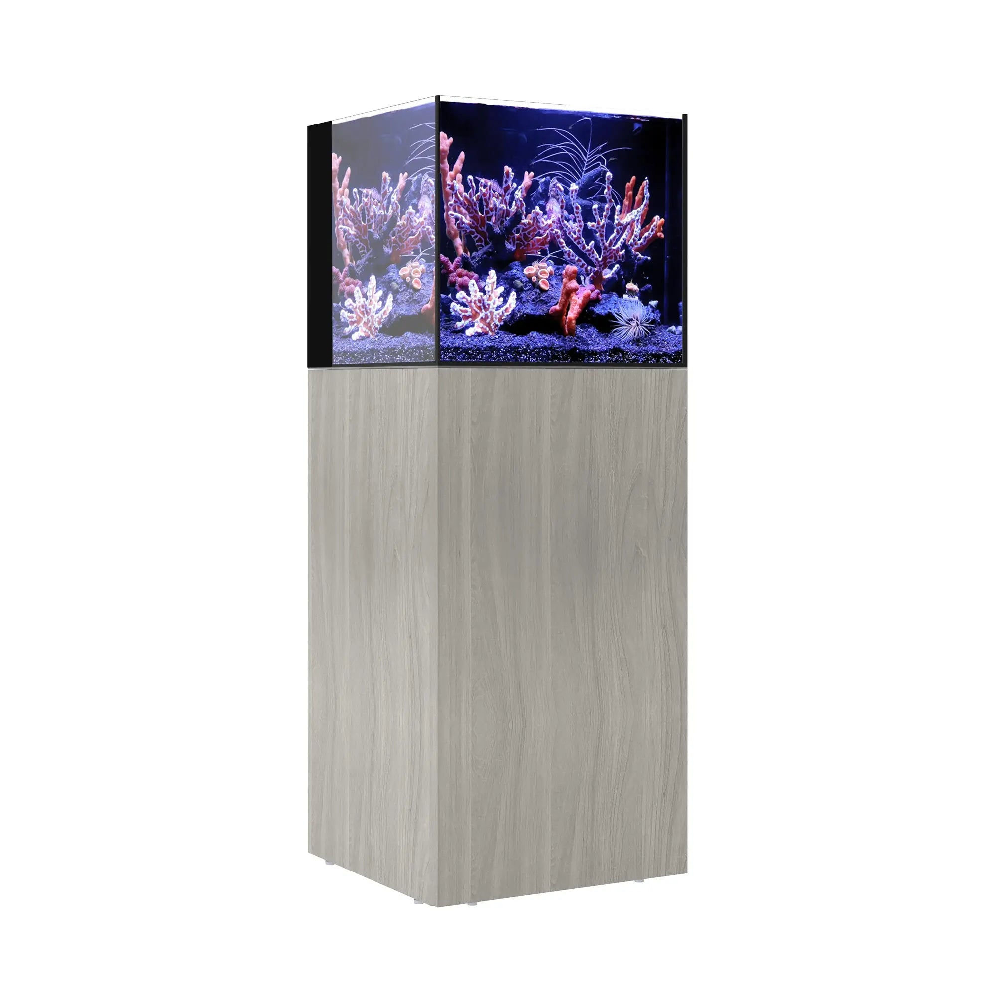 AIO 20 CUBE Waterbox Aquariums