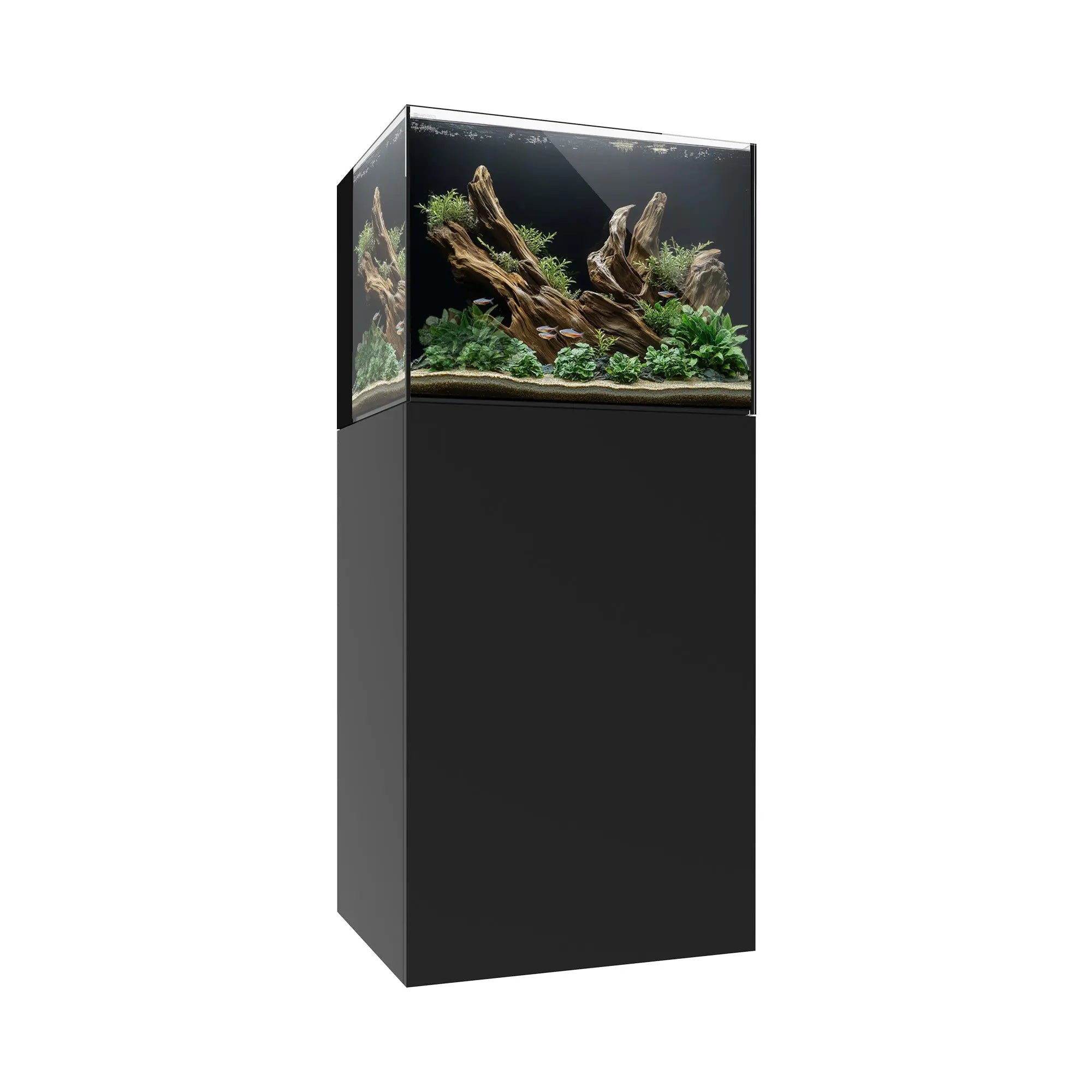 AIO 35.2 Waterbox Aquariums