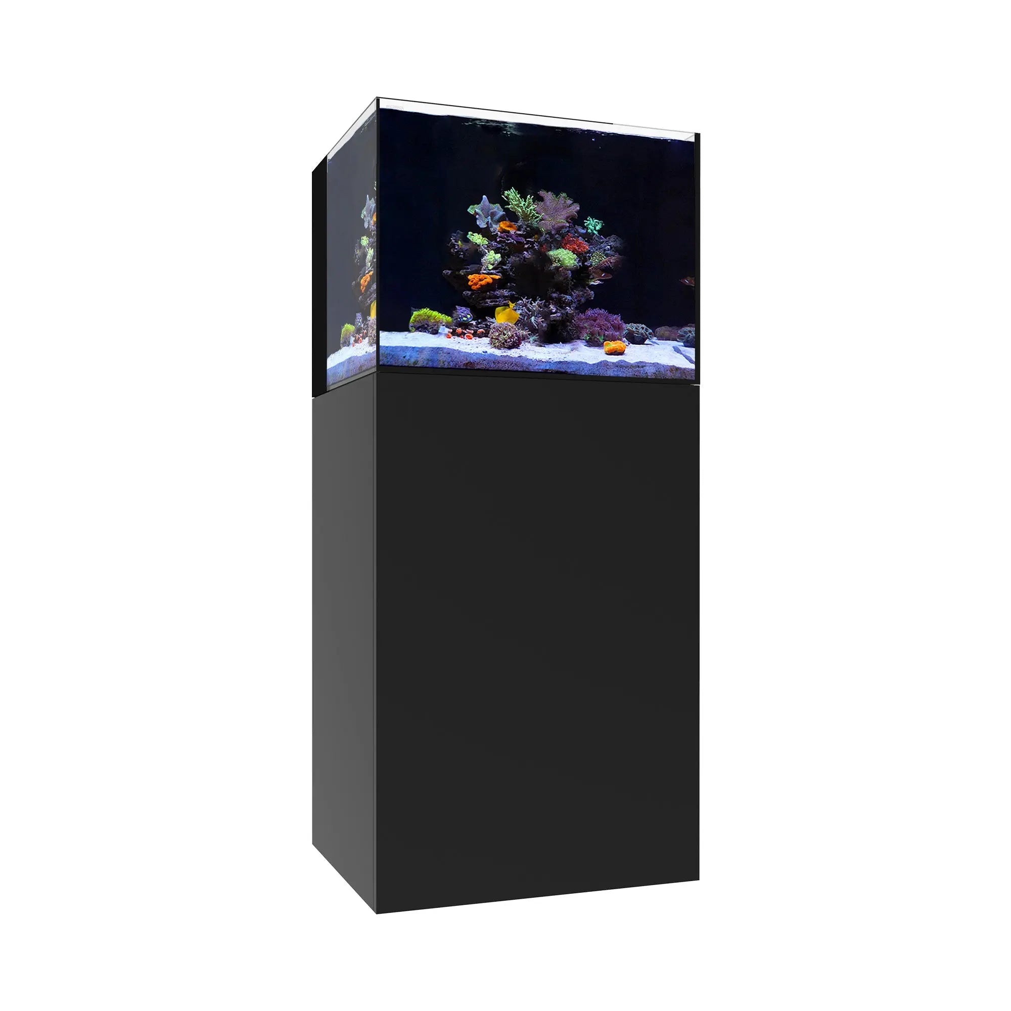 AIO 35.2 Waterbox Aquariums