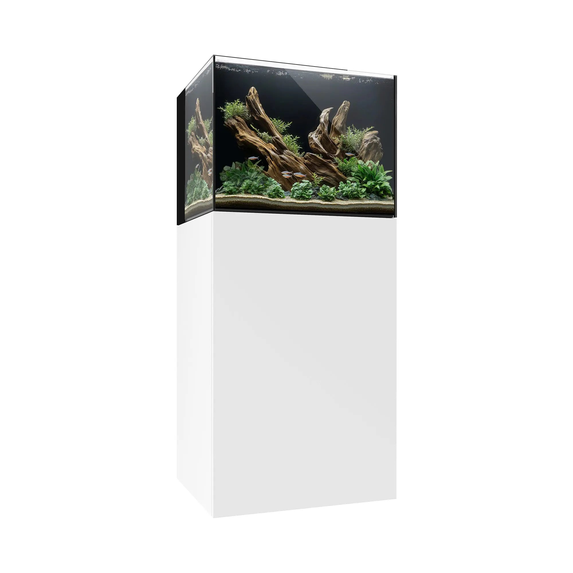 AIO 35.2 Waterbox Aquariums