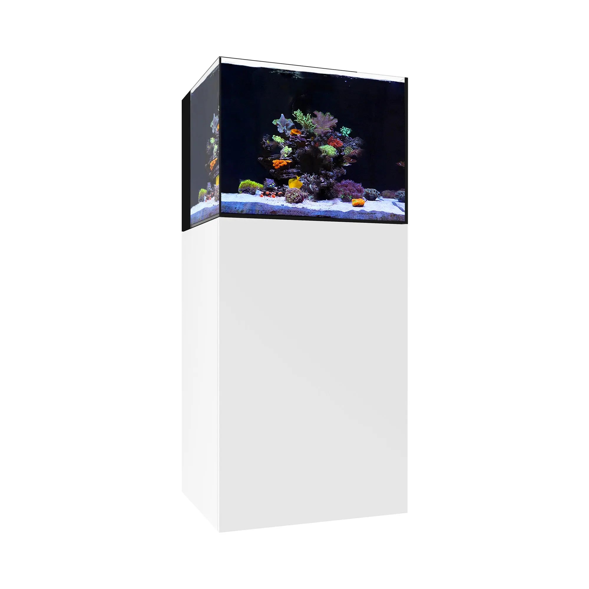 AIO 35.2 Waterbox Aquariums