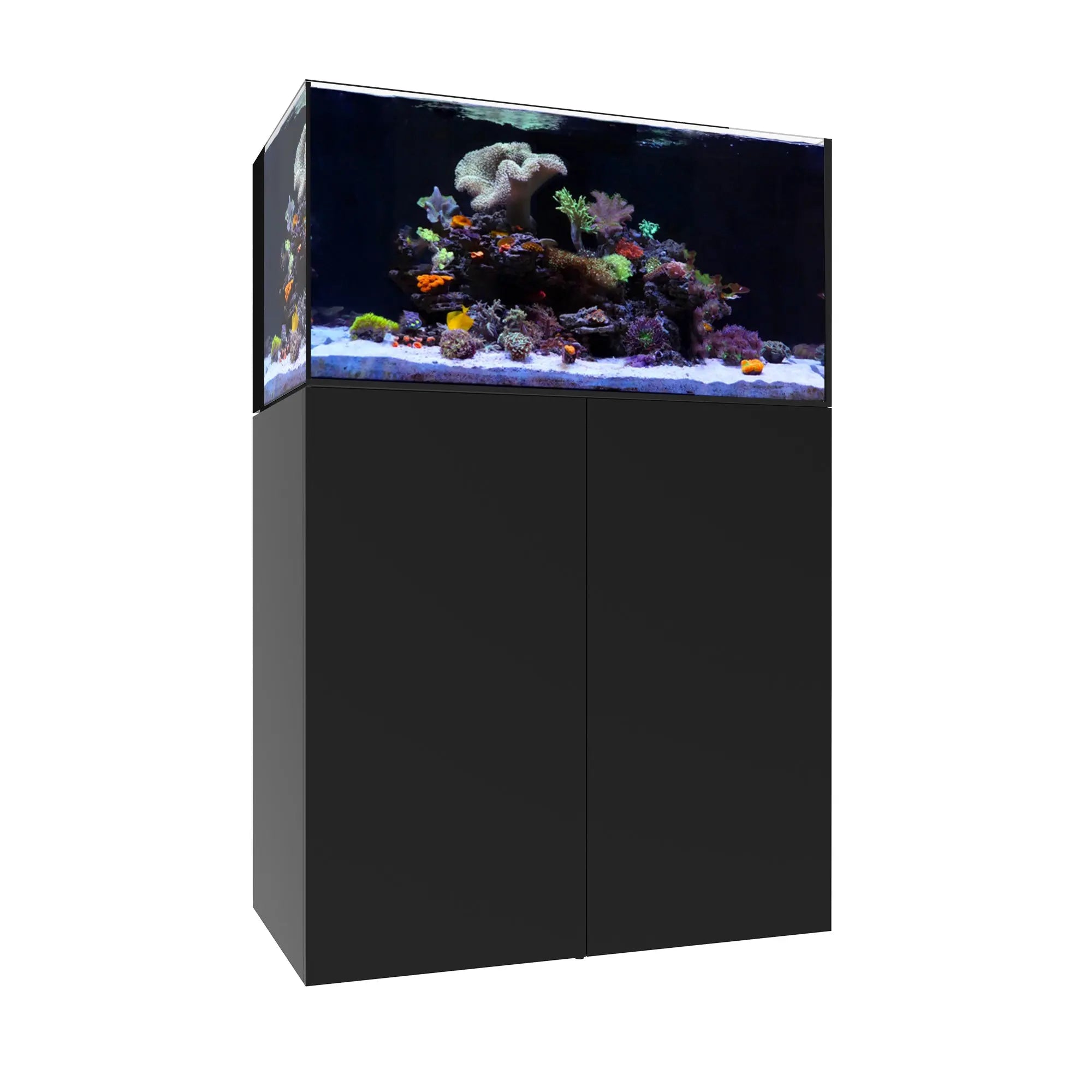 AIO 50.3 Waterbox Aquariums