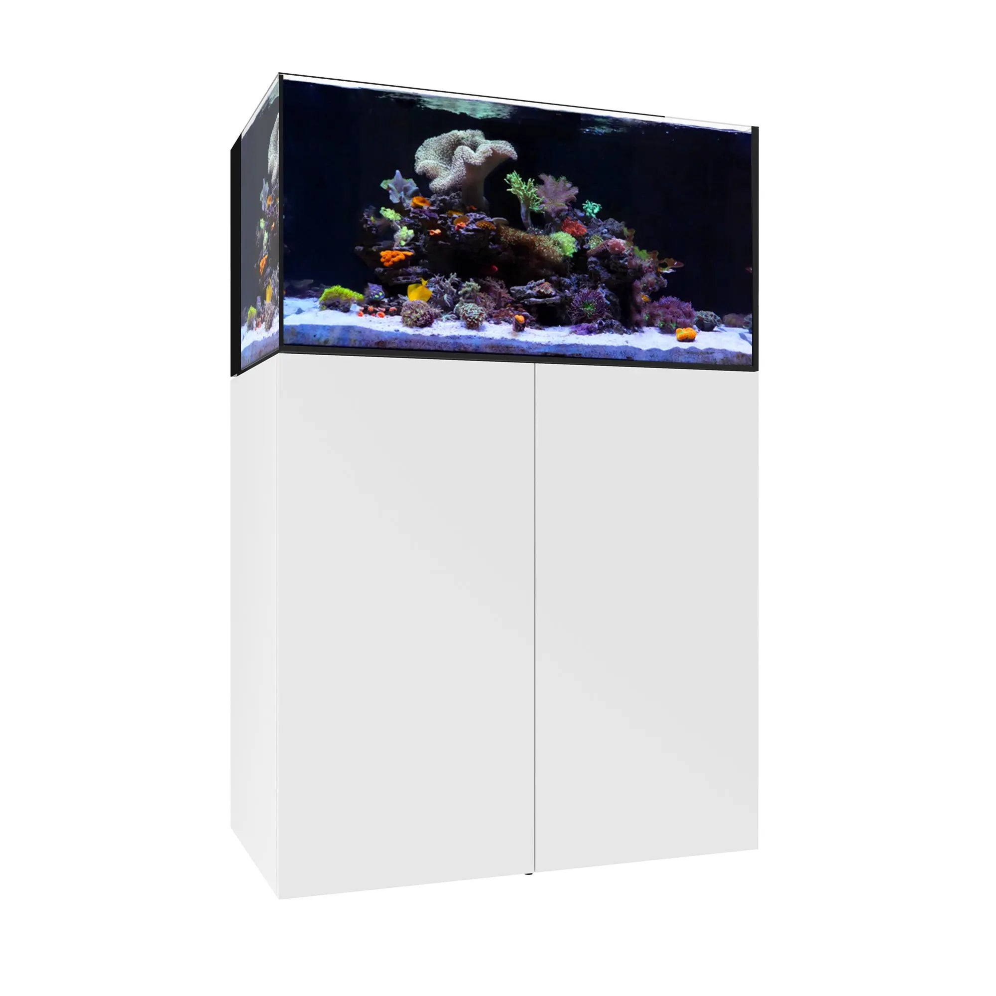 AIO 50.3 Waterbox Aquariums