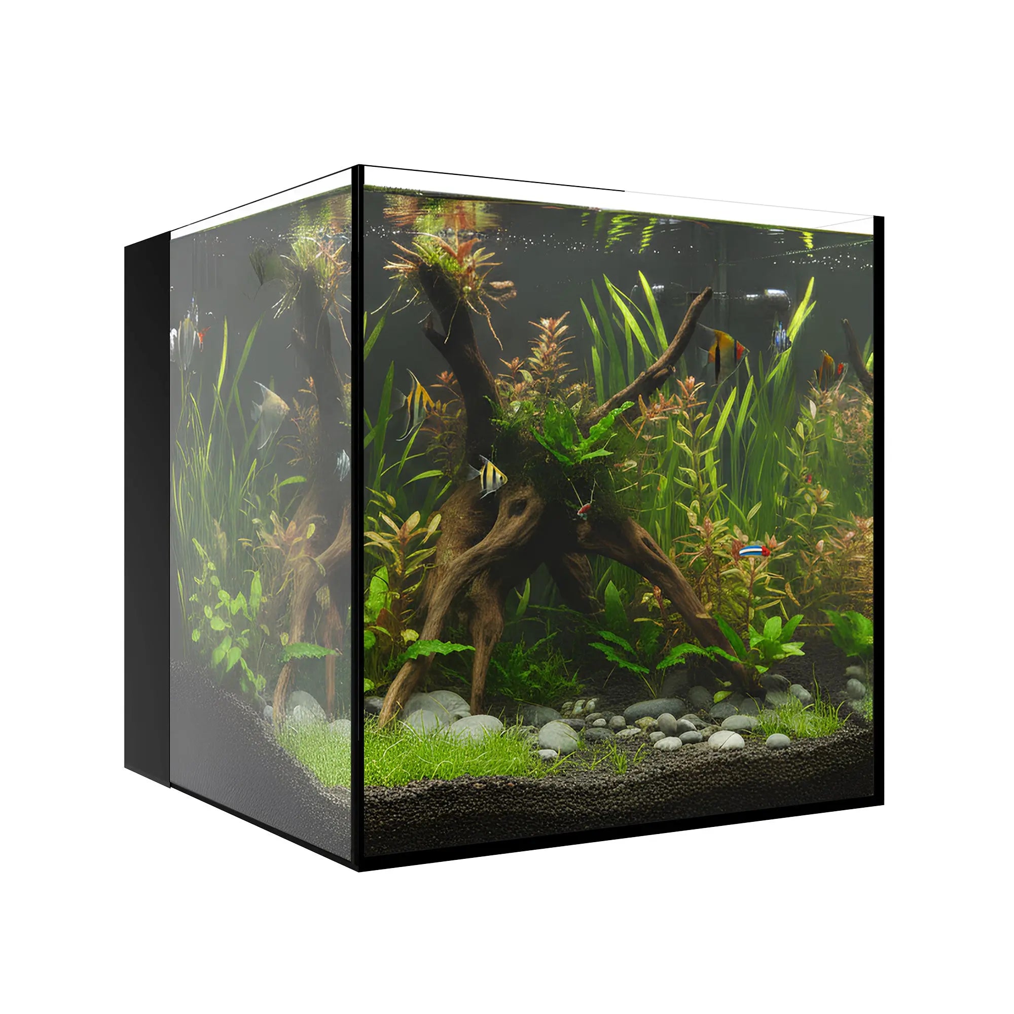 AIO 10 CUBE Waterbox Aquariums