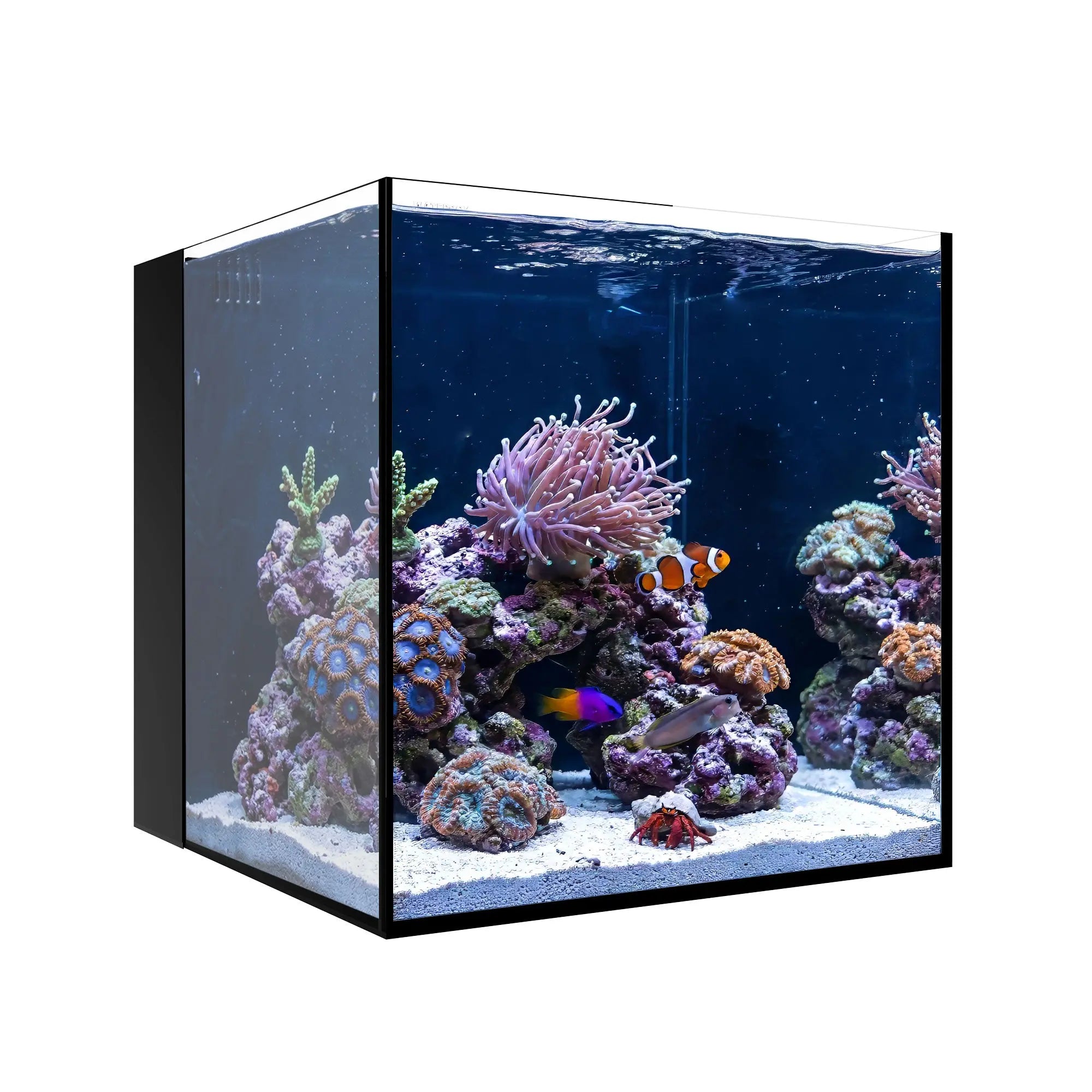 AIO 10 CUBE Waterbox Aquariums