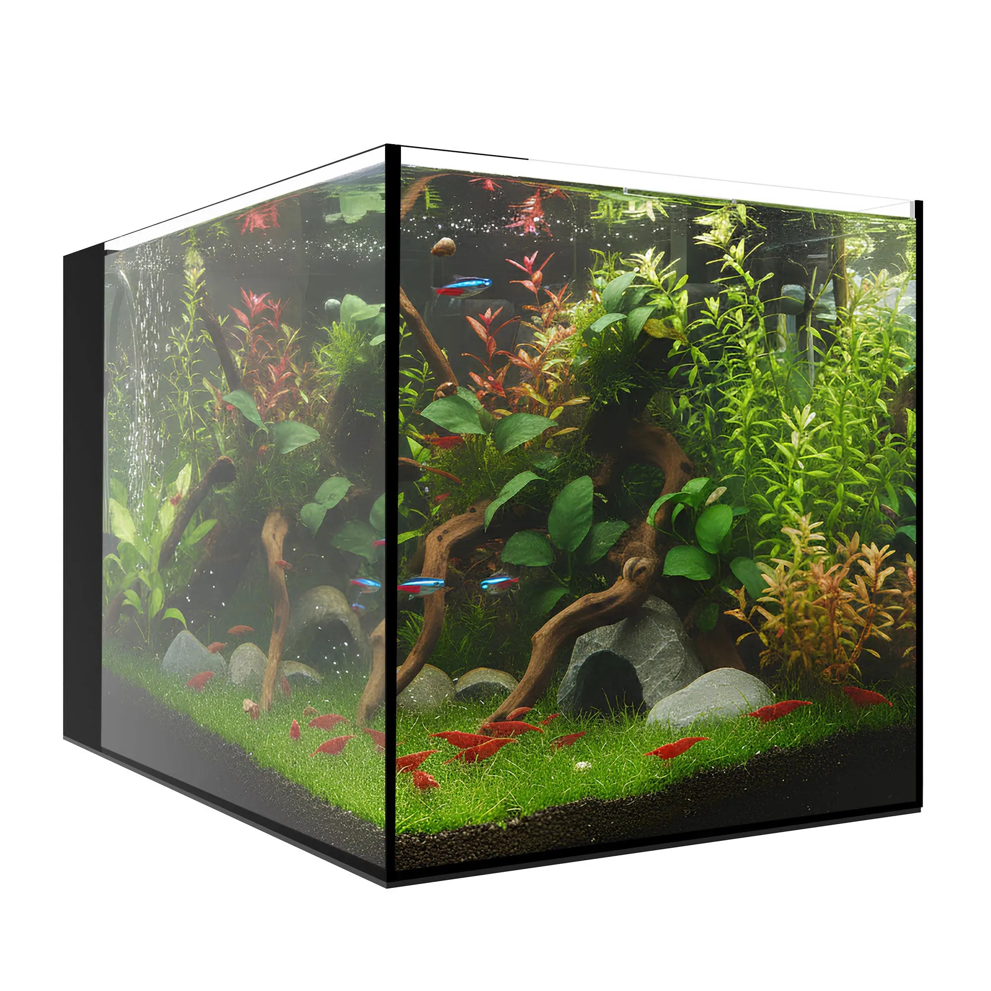 AIO 15 PENINSULA Waterbox Aquariums