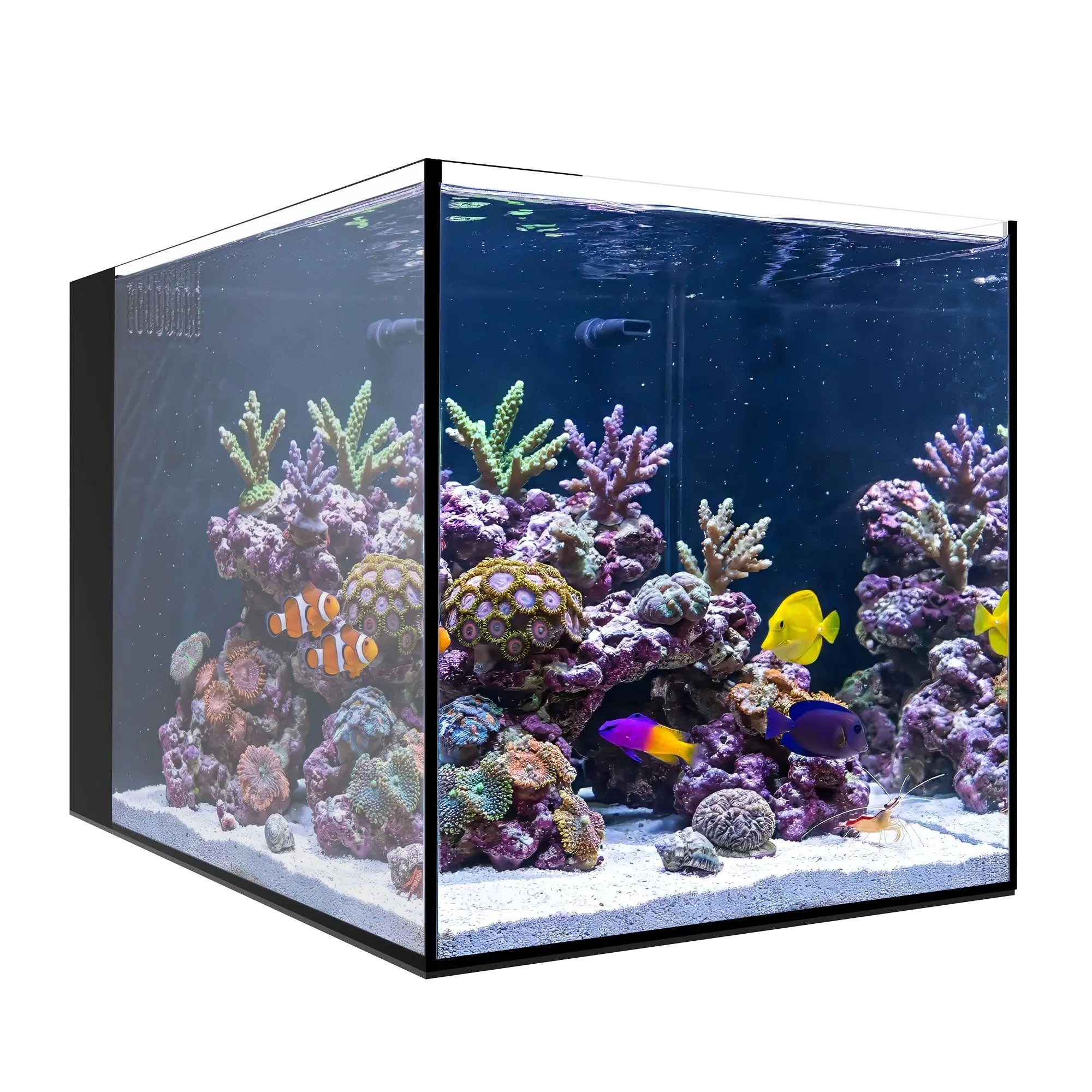 AIO 15 PENINSULA Waterbox Aquariums