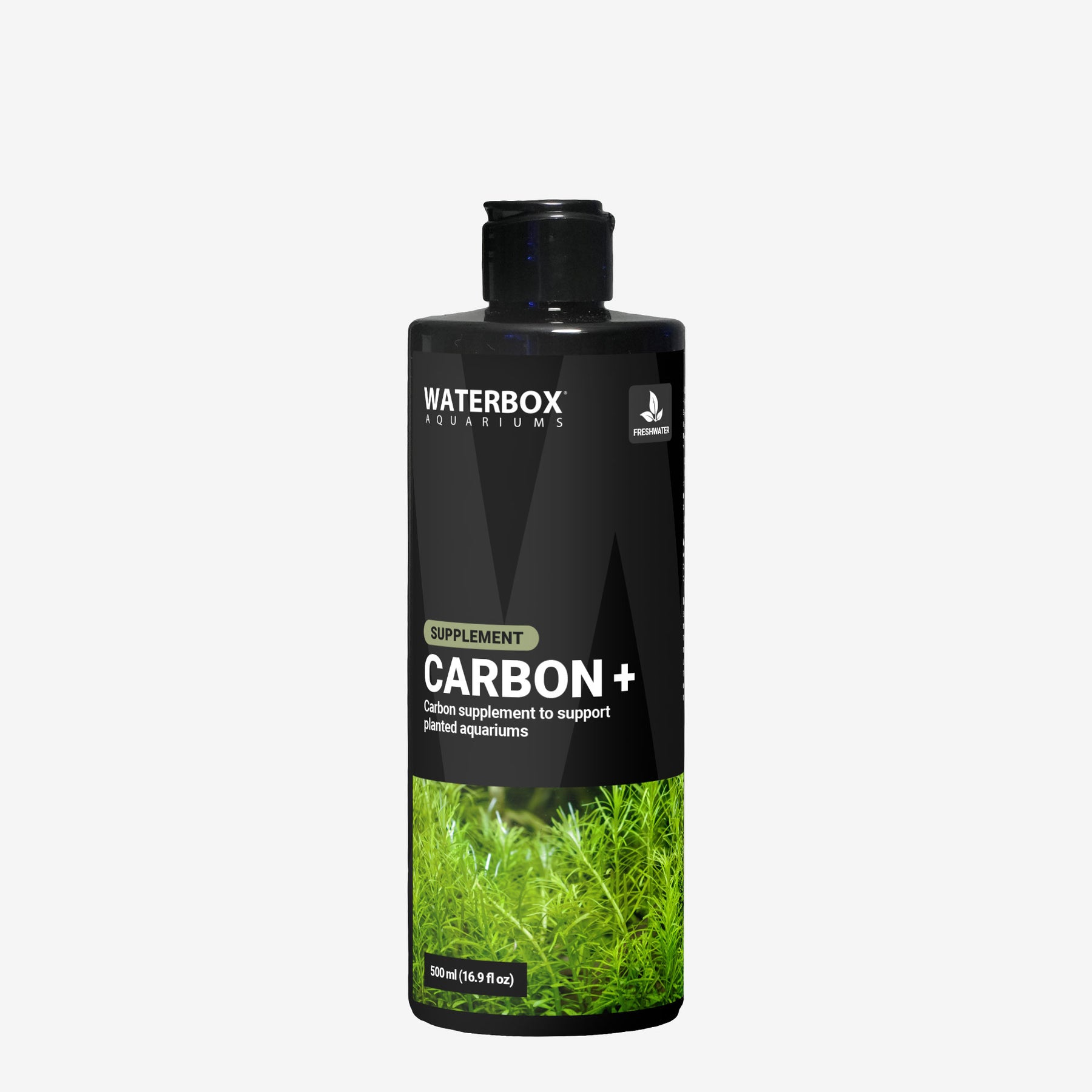 CARBON +