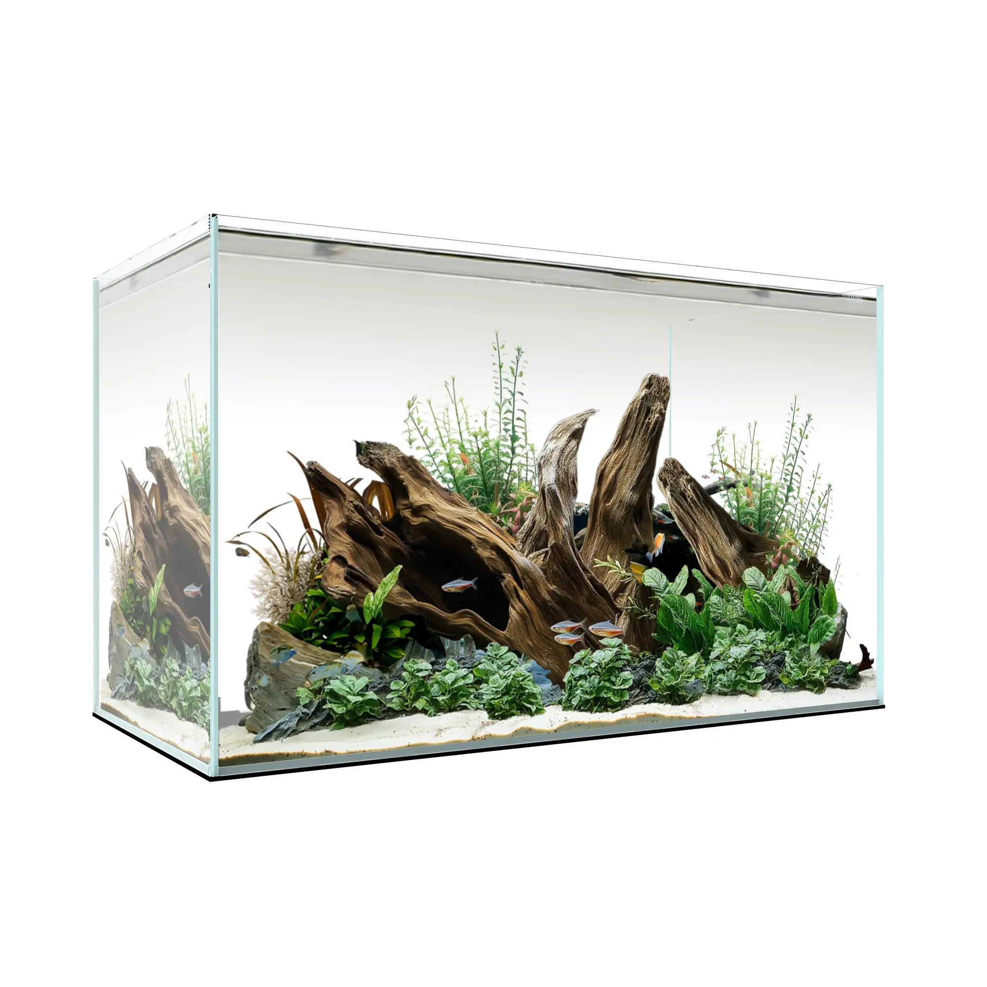 CLEAR MINI 16 Waterbox Aquariums