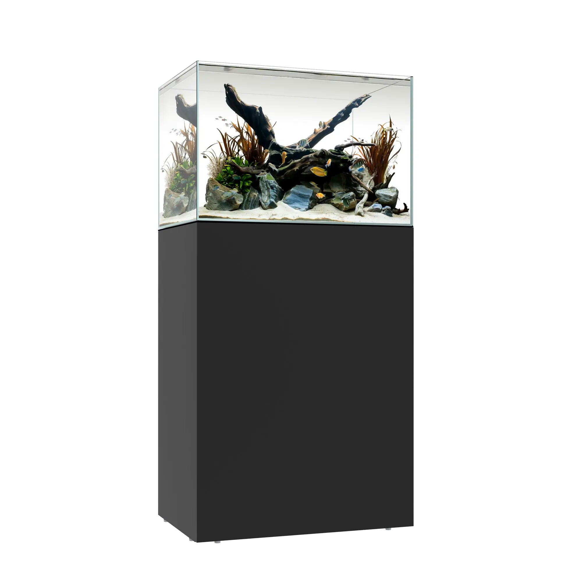 CLEAR MINI 25 Waterbox Aquariums