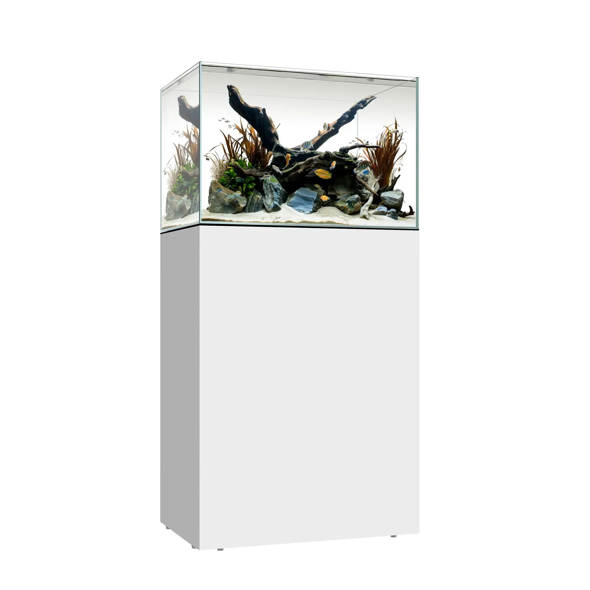 CLEAR MINI 25 Waterbox Aquariums