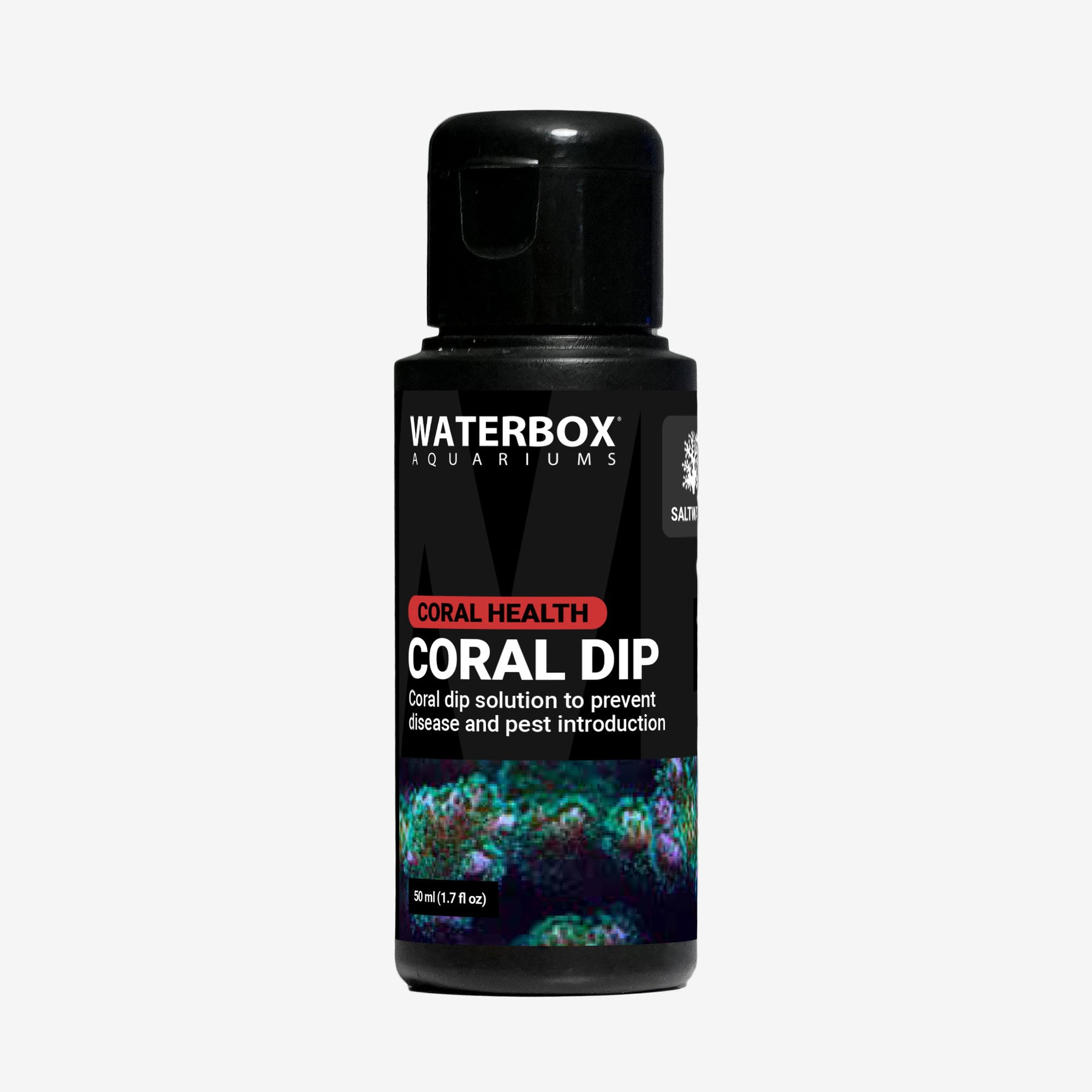 CORAL DIP